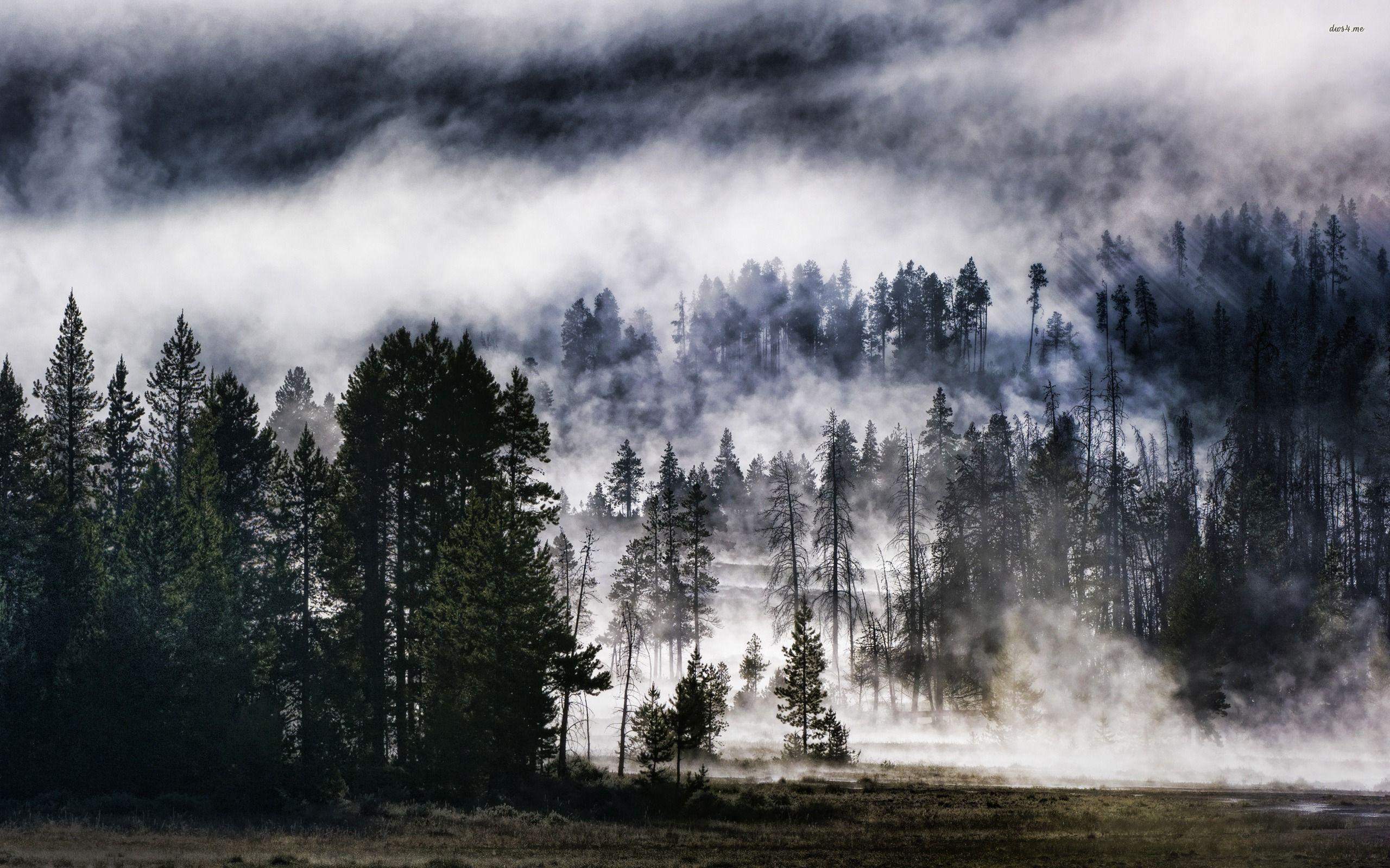 Misty Yellowstone National Park wallpaper