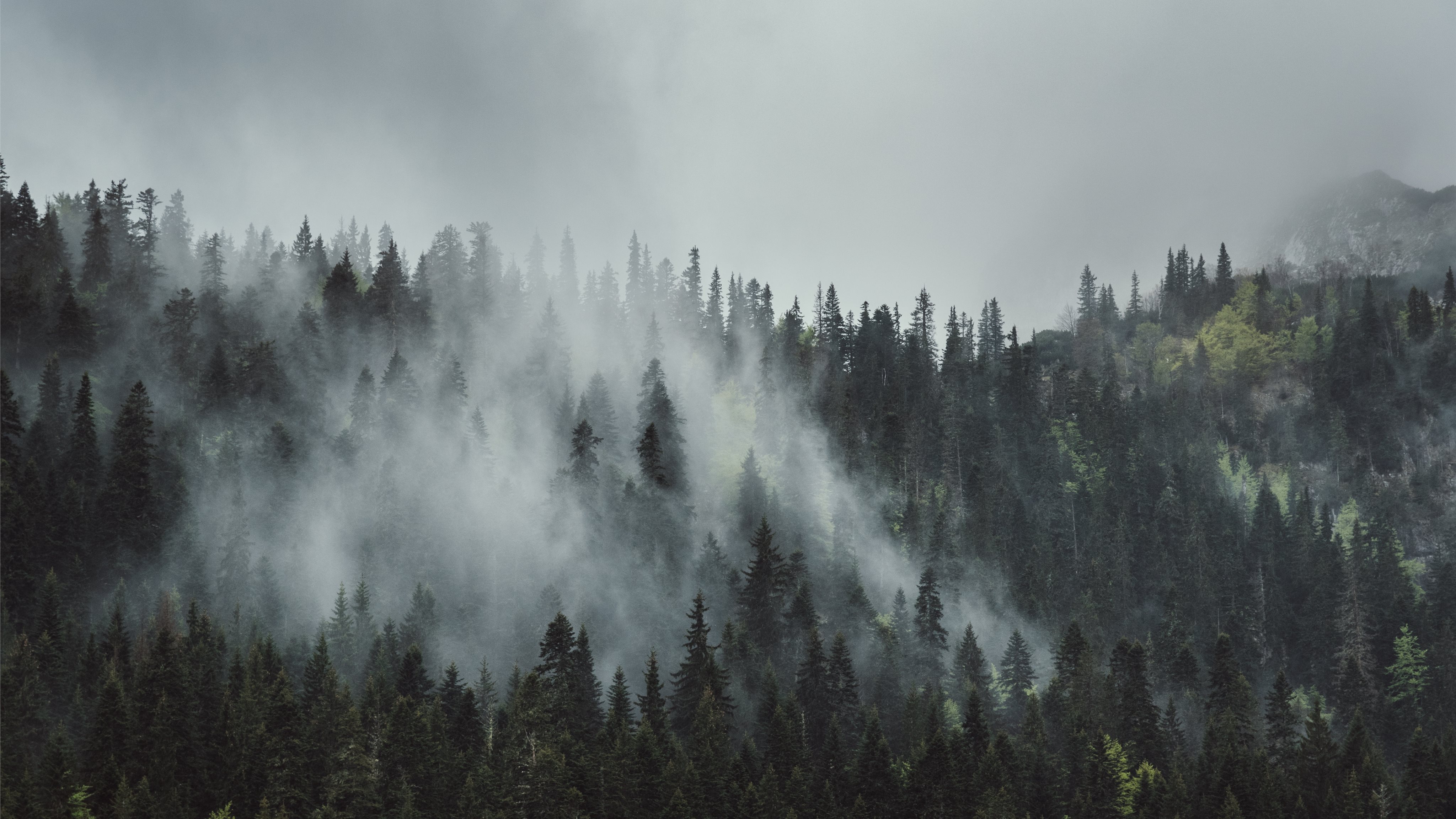 Misty morning on Durmitor. Mac Wallpaper Download