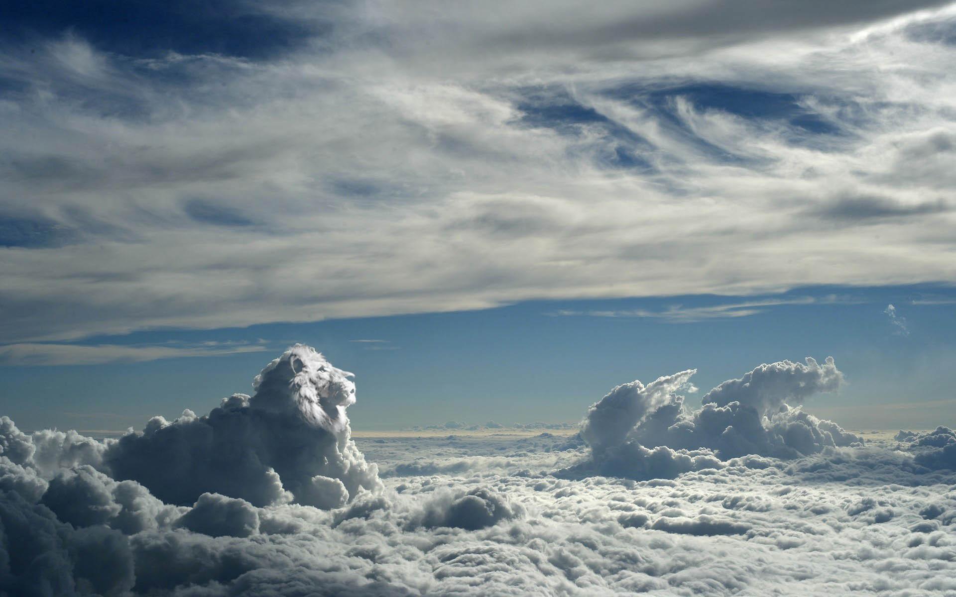 Lion Cloud Wallpaper Above The Clouds