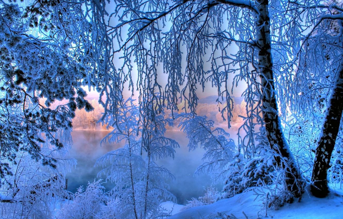 Wallpaper frost, forest, snow, lake, tree, dawn, Winter