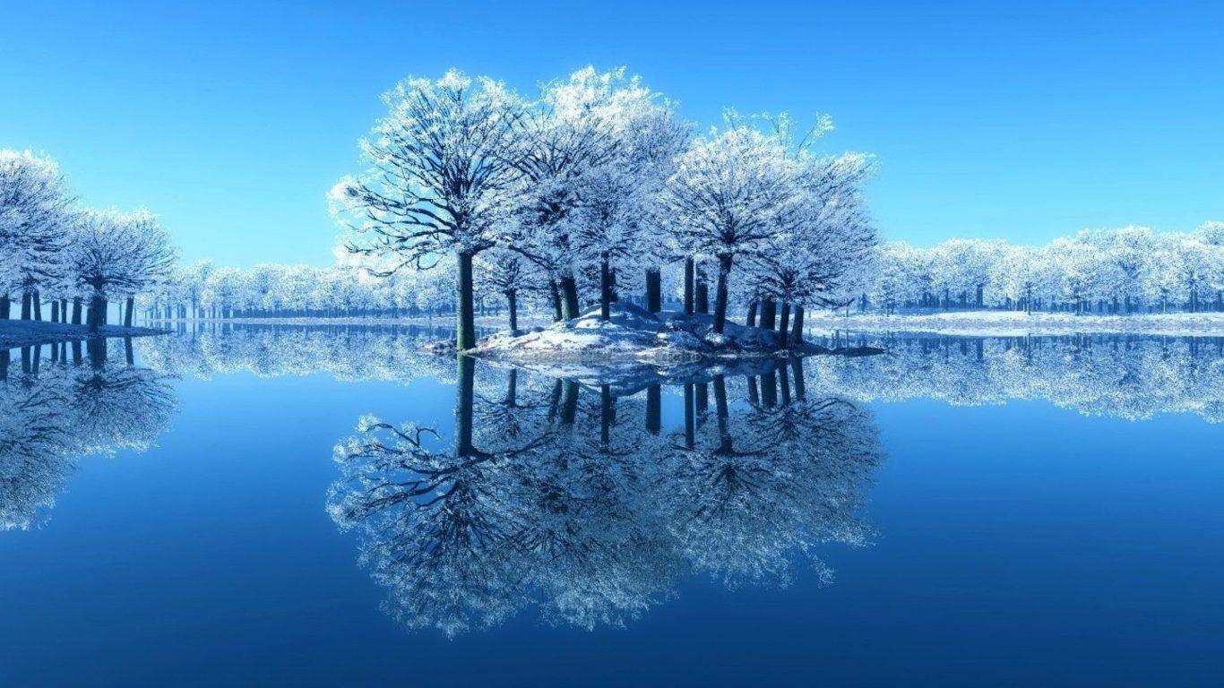 Winter: Frosty Mirrored Sky Branches Clear Water Ice Cold