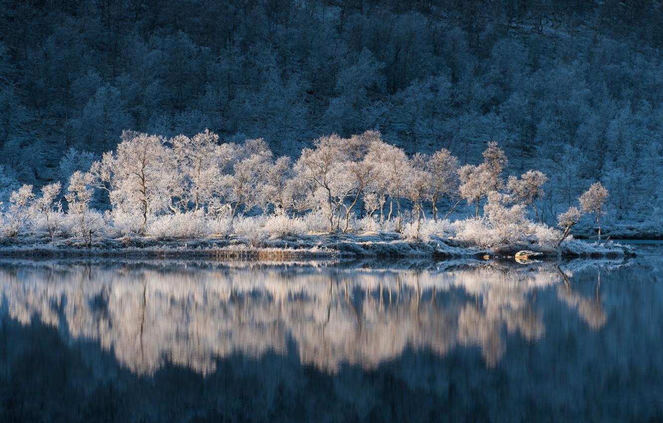 Wallpaper frost, water, trees, reflection, Norway, Norway
