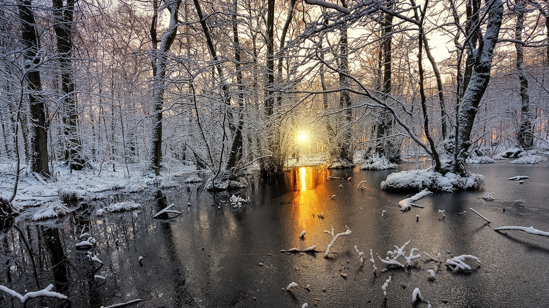 nature, Landscape, Cold, Winter, Sunrise, Snow, Forest