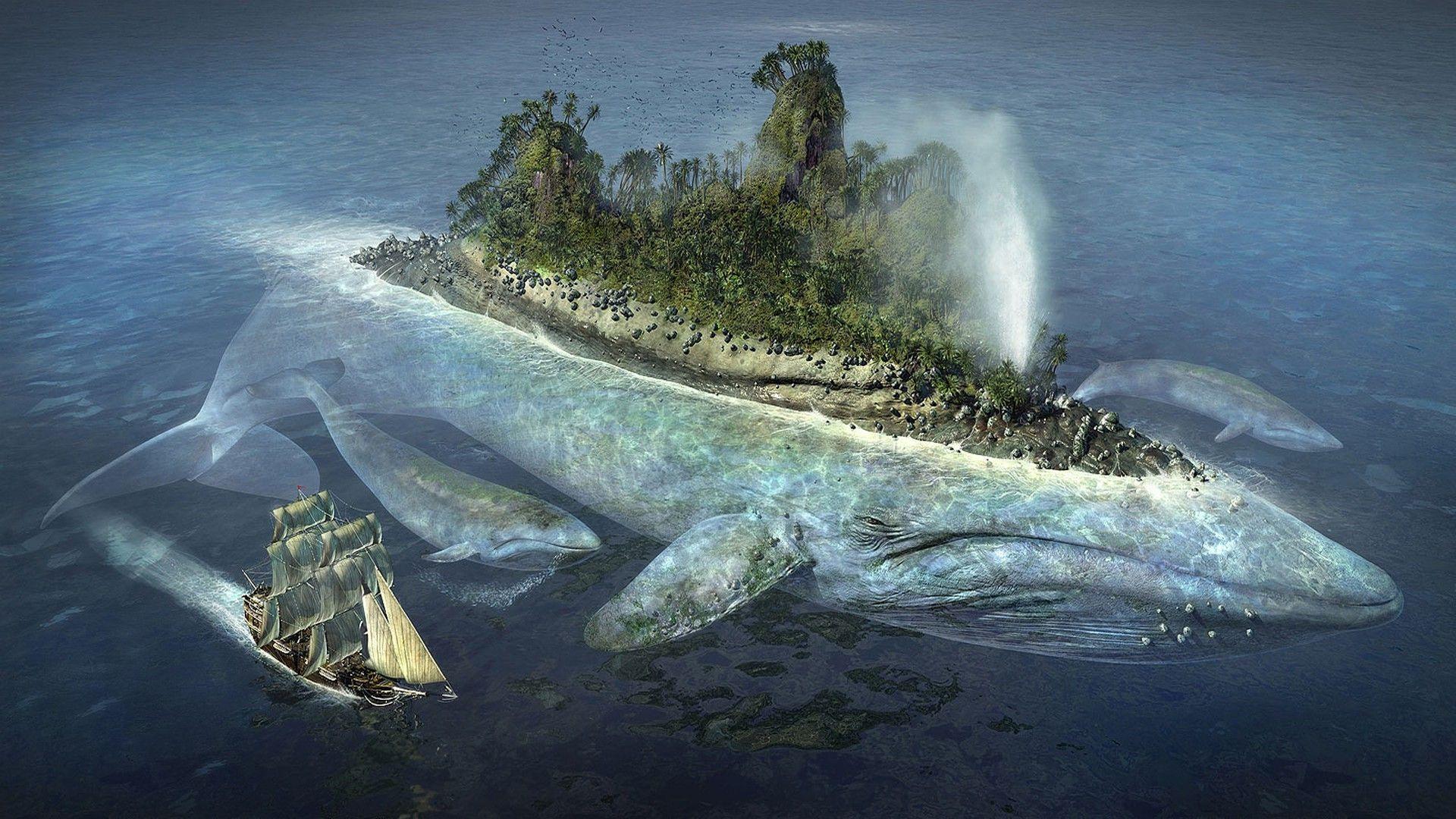 water fantasy. Category, Fantasy Wallpaper whale