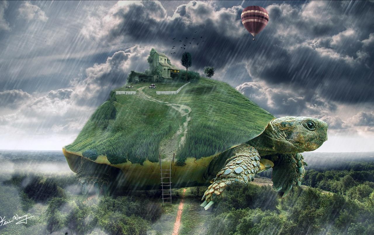 Turtle Landscape Surreal wallpaper. Turtle Landscape