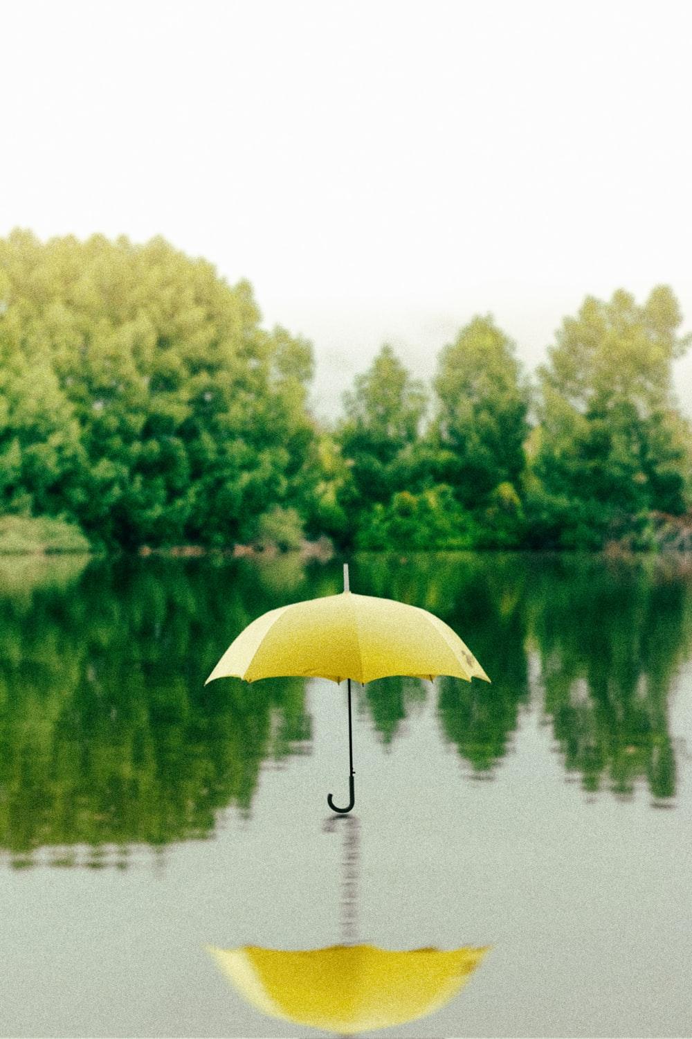 Umbrella Picture. Download Free Image