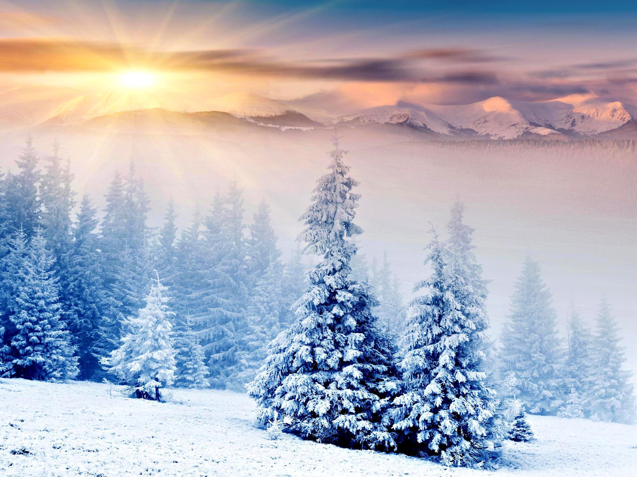 Winter HD Wallpaper