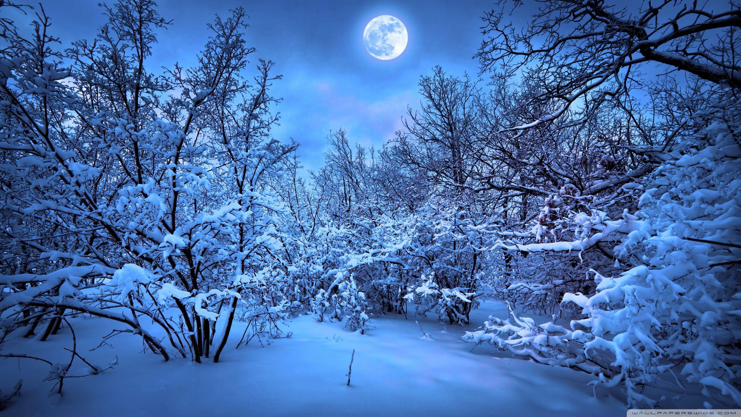 Winter Moon. Beautiful winter scenes, Winter wallpaper, Winter picture