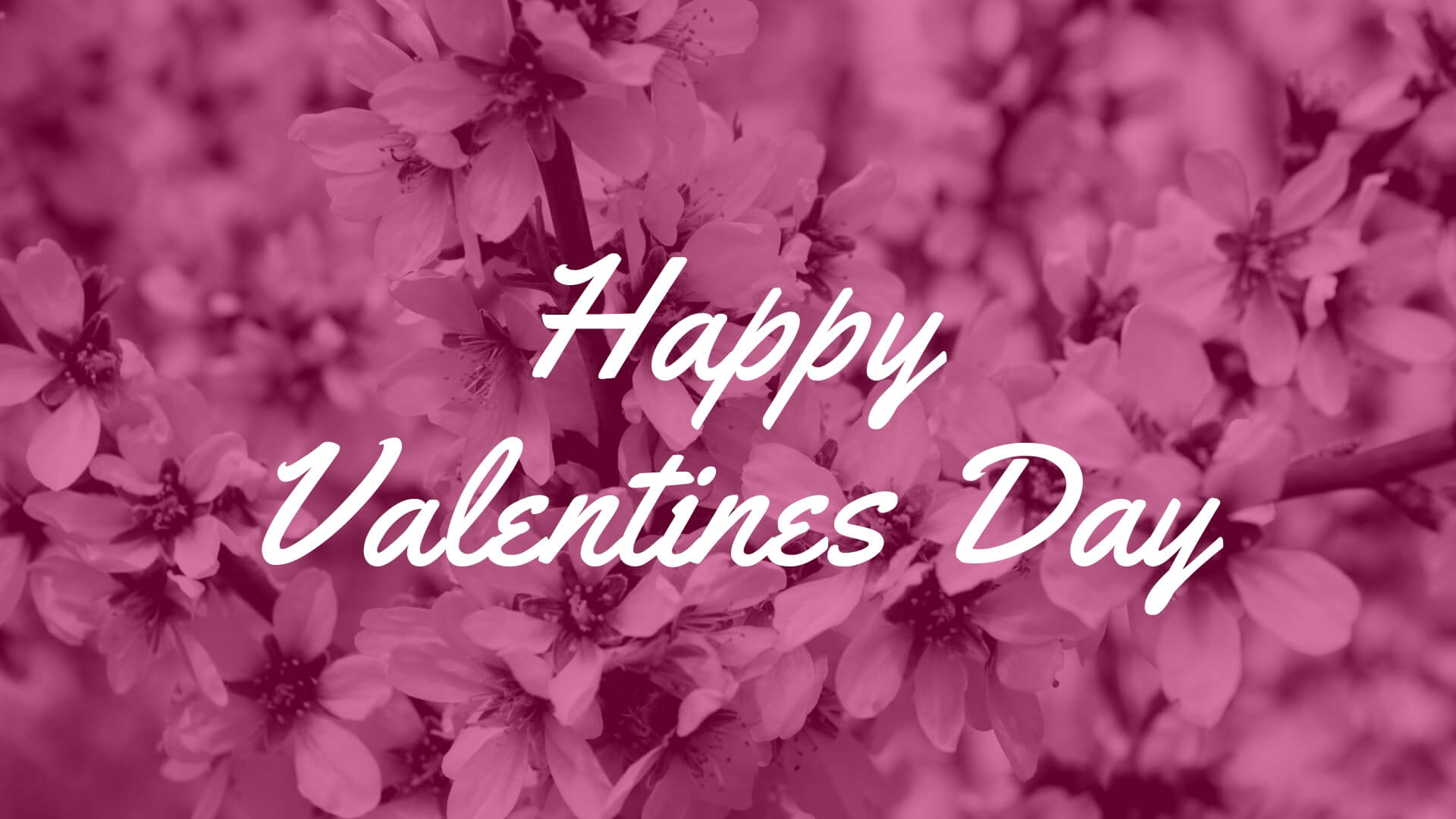 ਧੰਨ Valentines ਦਿਵਸ ਚਿੱਤਰ 2020. Best & Cute