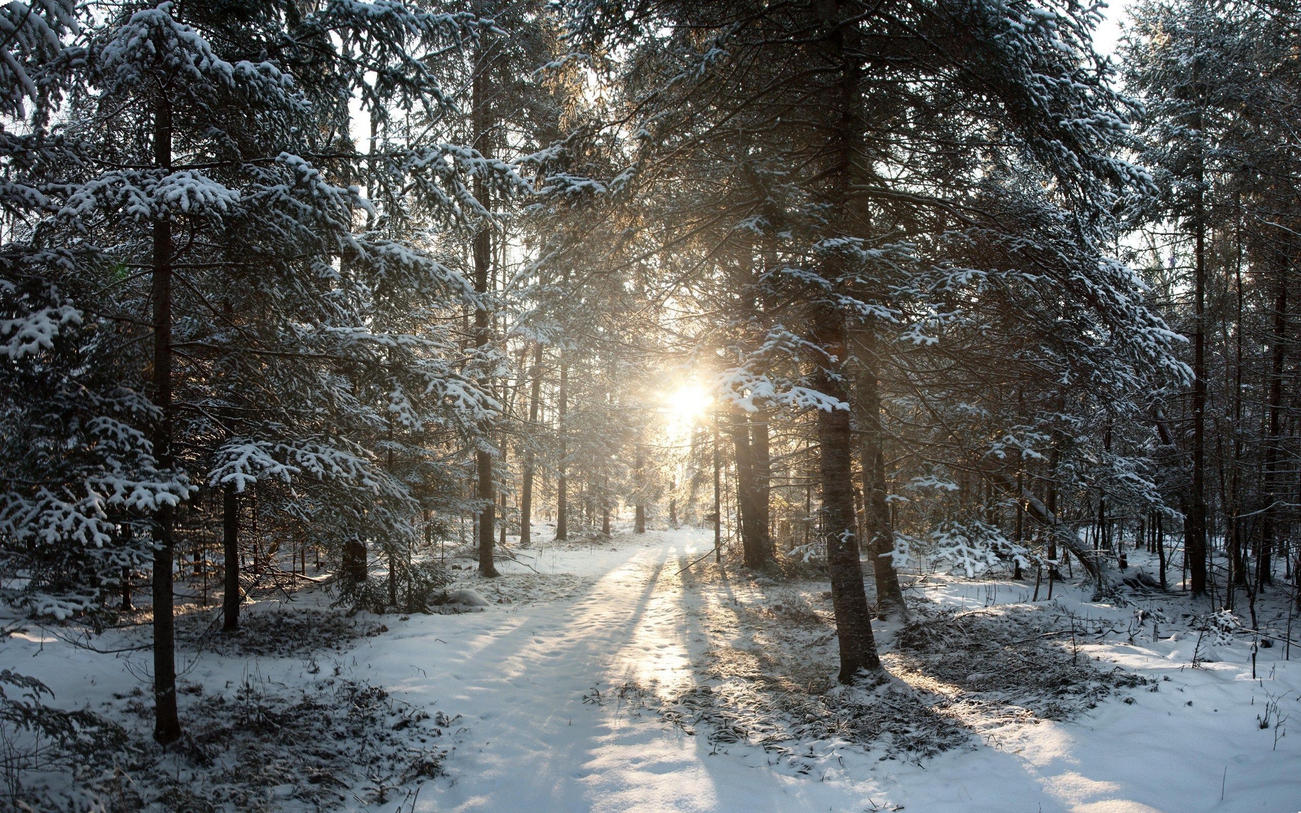 wisconsin winter photo. Wisconsin 'Winter Wonderland'