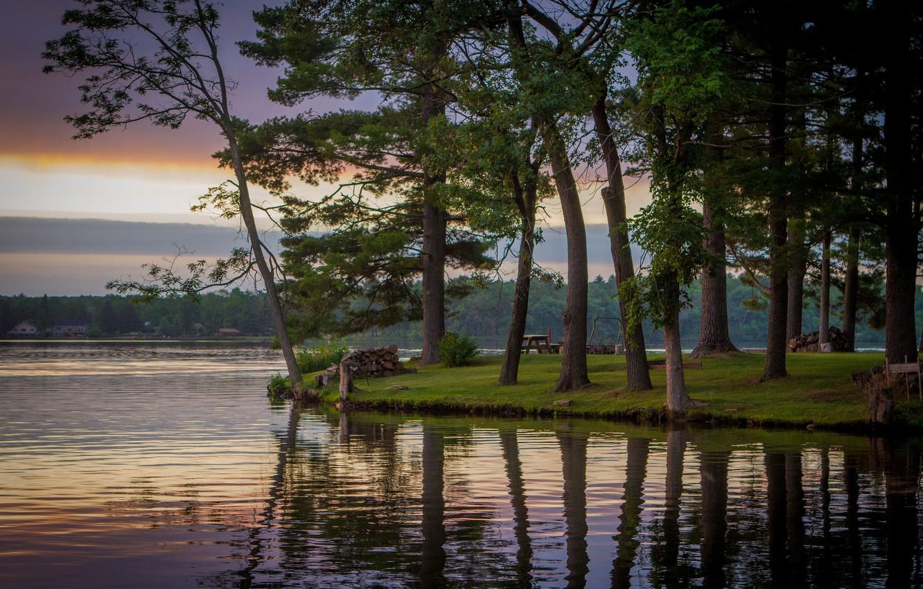 Wallpaper trees, lake, Wisconsin, Wisconsin, Lake Delton