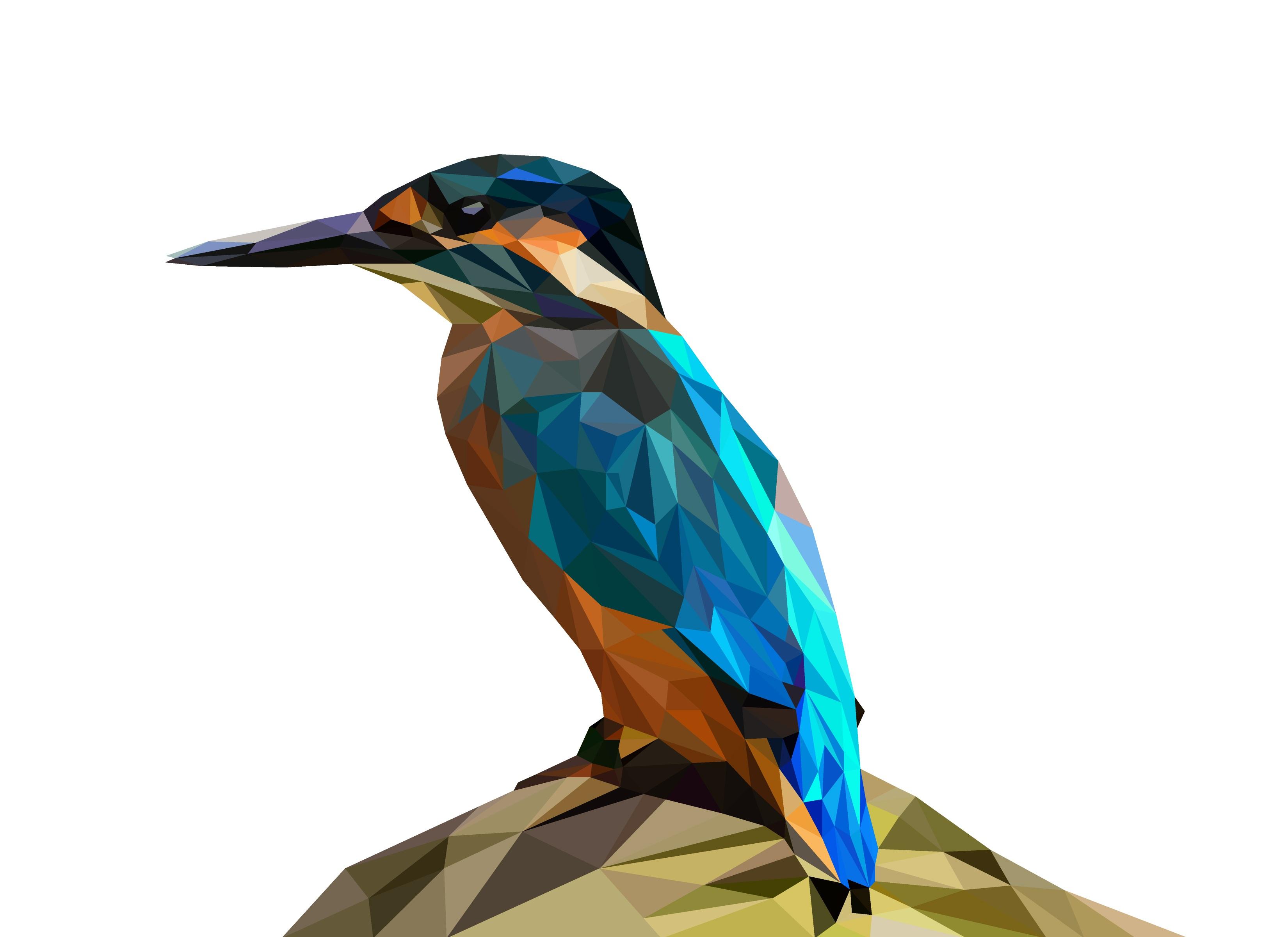 Kingfisher Wallpaper Poly Illustrator Triangle