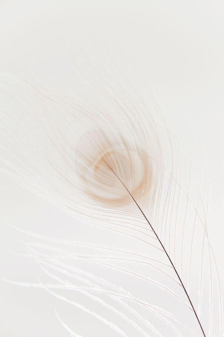 colour #color #white #feather. White aesthetic, Wallpaper, Aesthetic background
