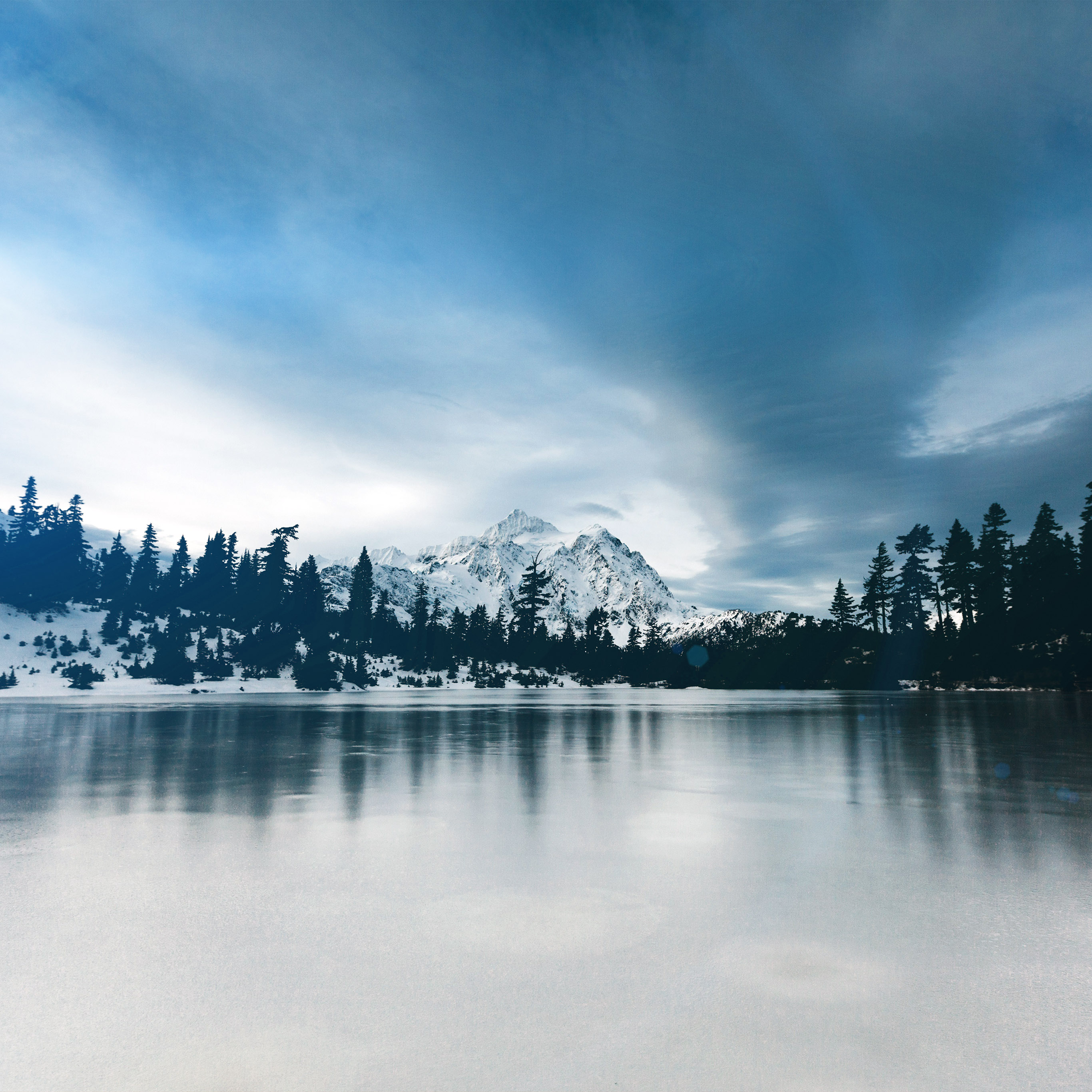 Frozen Lake Winter Snow Wood Forest Cold Wallpaper
