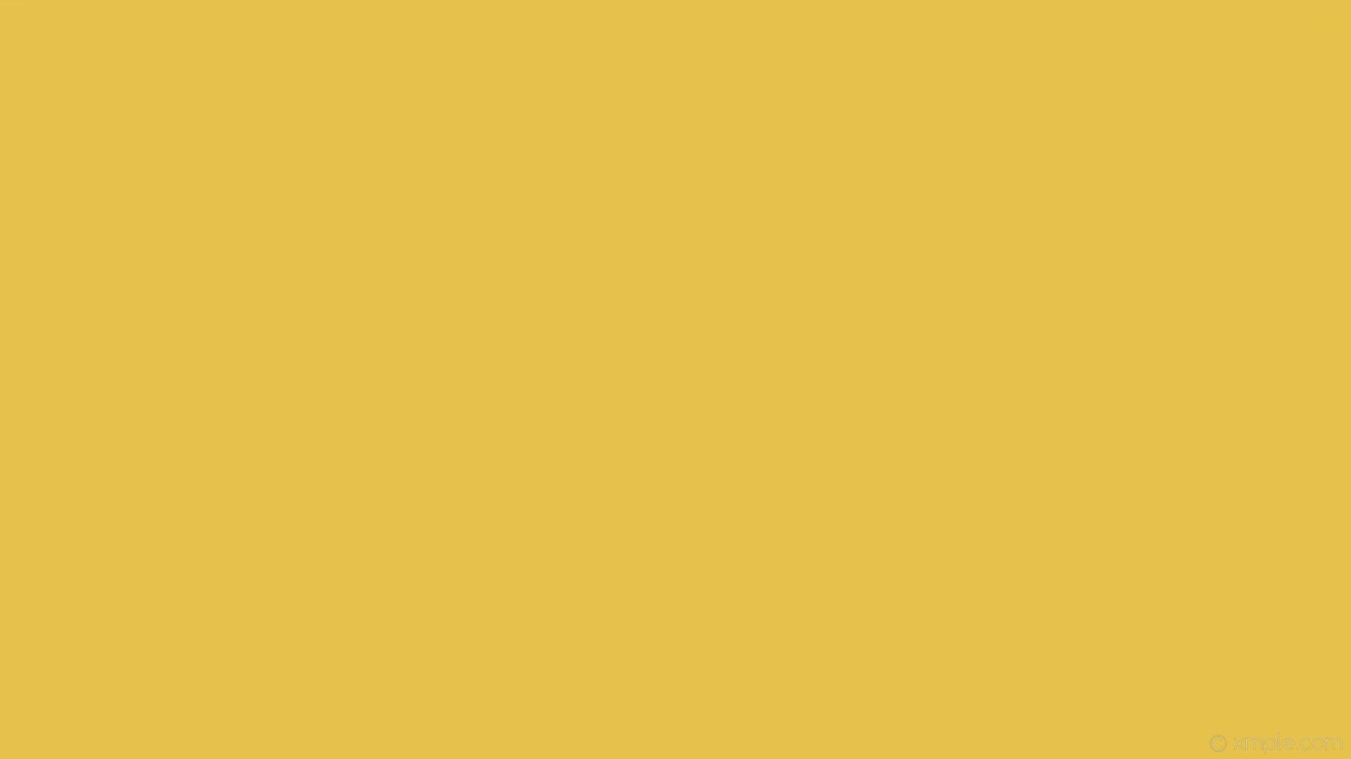 Solid Yellow Wallpaper Free Solid Yellow Background