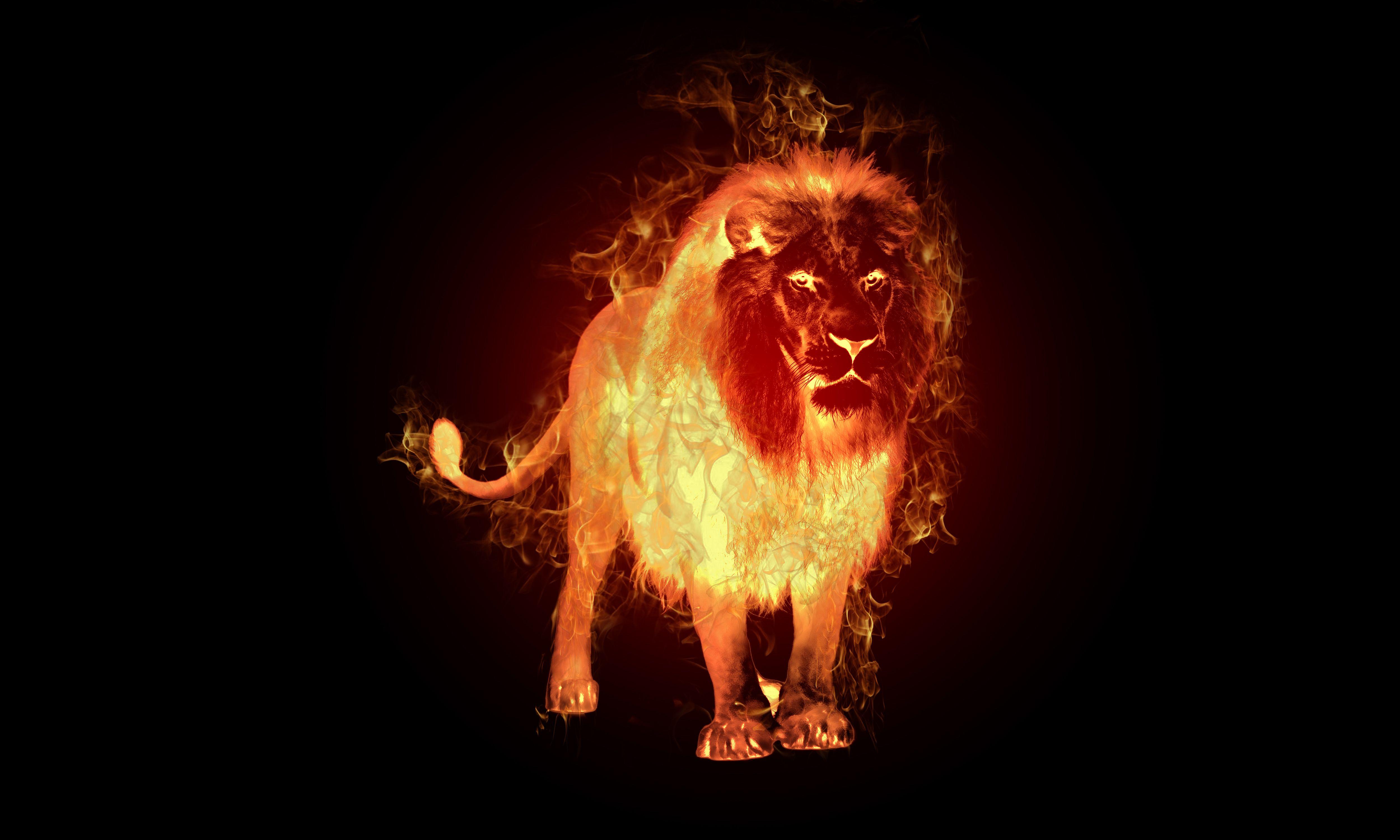 Fire Lion Wallpaper Free Fire Lion Background
