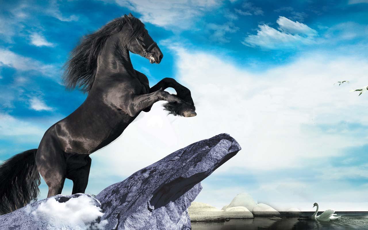 real horse 3D for Android