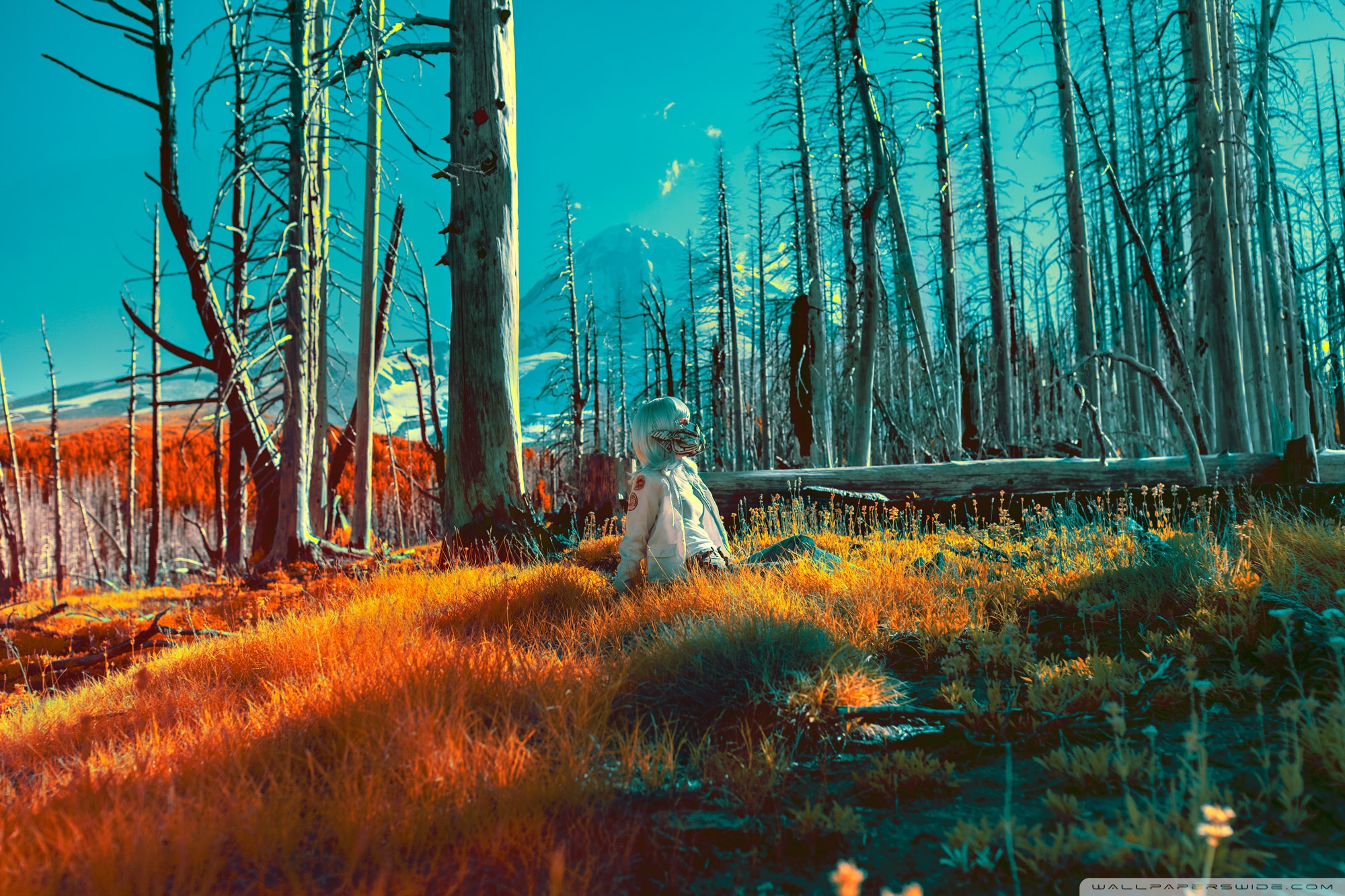 A Quiet Place Infrared Photography Ultra HD Desktop Background