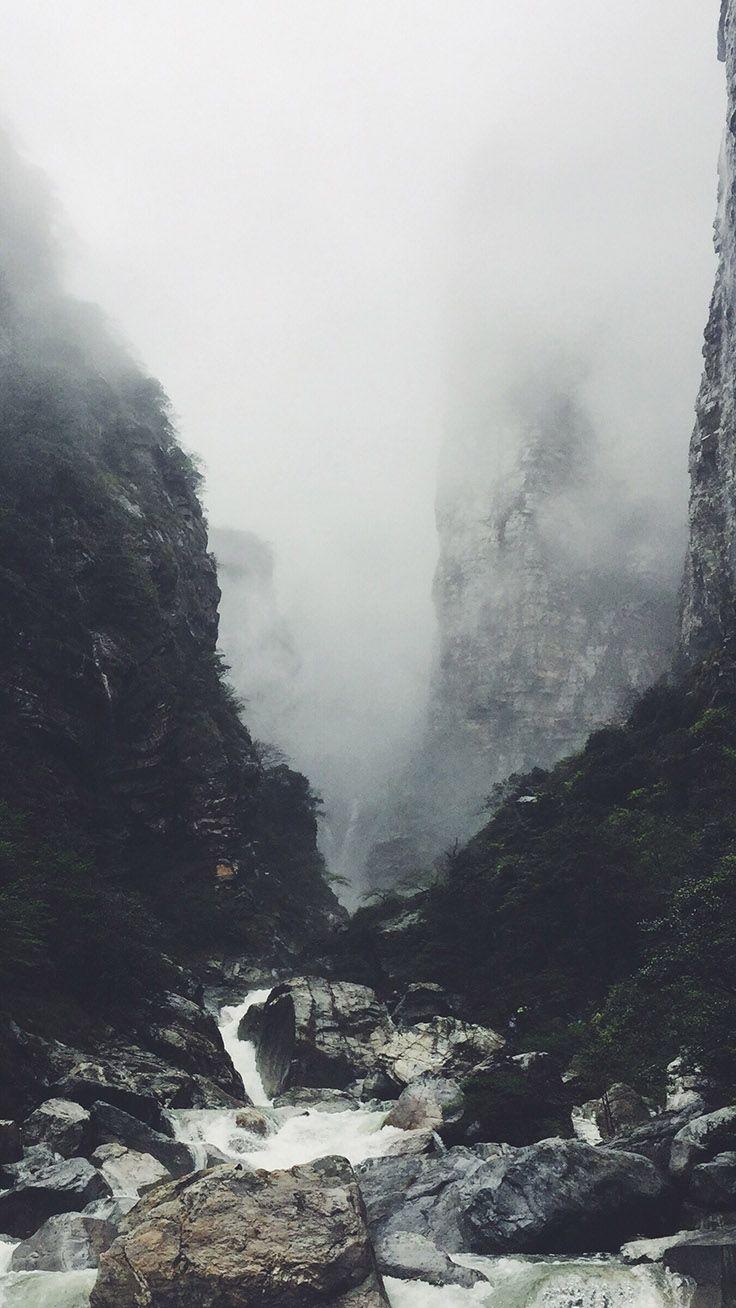 Bringing The Forest To You With 9 Free iPhone X Wallpaper