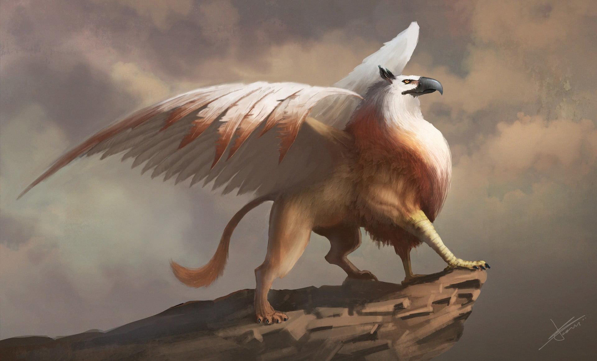 Brown and white gryphon illustration, artwork, fantasy art, Griffins HD wallpaper