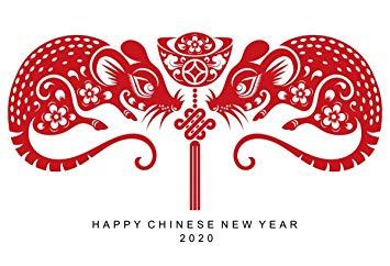 Amazon.com, Yeele Chinese New Year Photo Backdrop 6x4ft. Festival 2020 Wallpaper