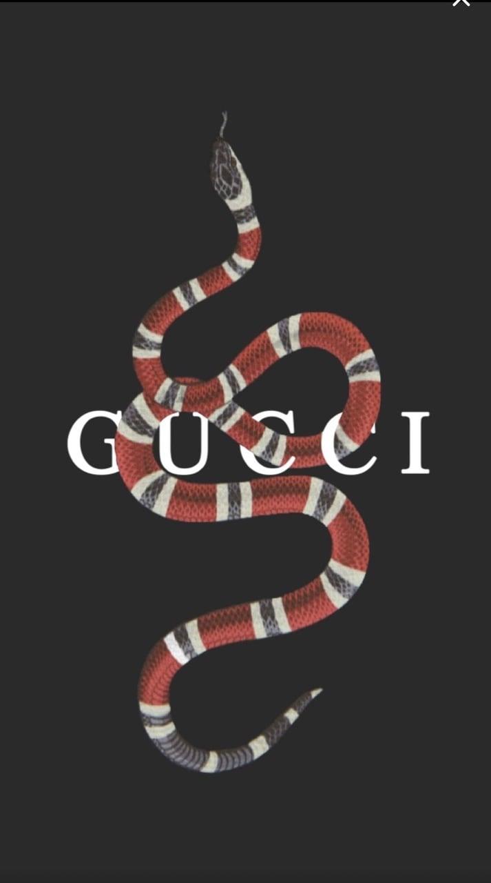 Gucci iPhone Wallpaper & Background Download