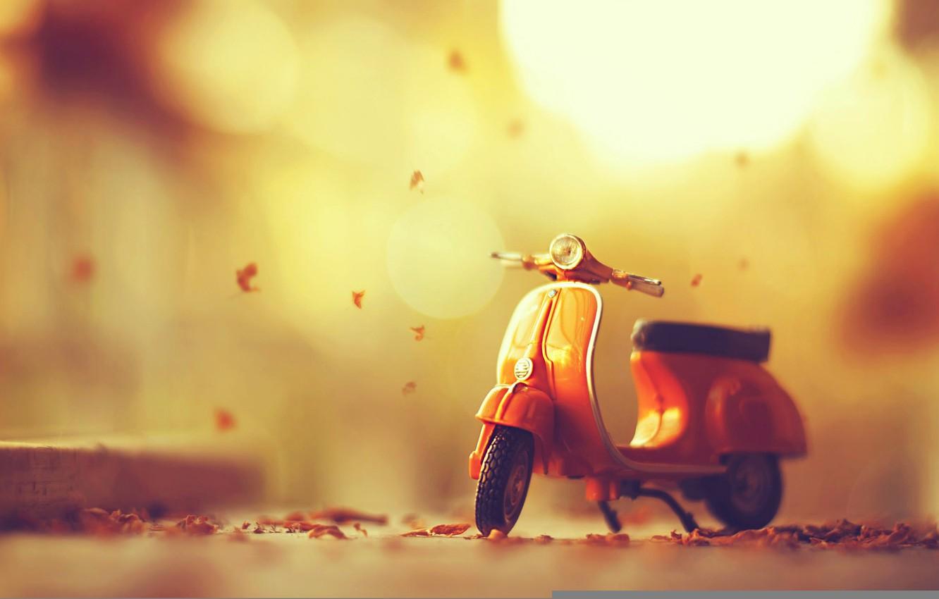 Wallpaper leaves, moped, autumn, leaves, autumn, moped