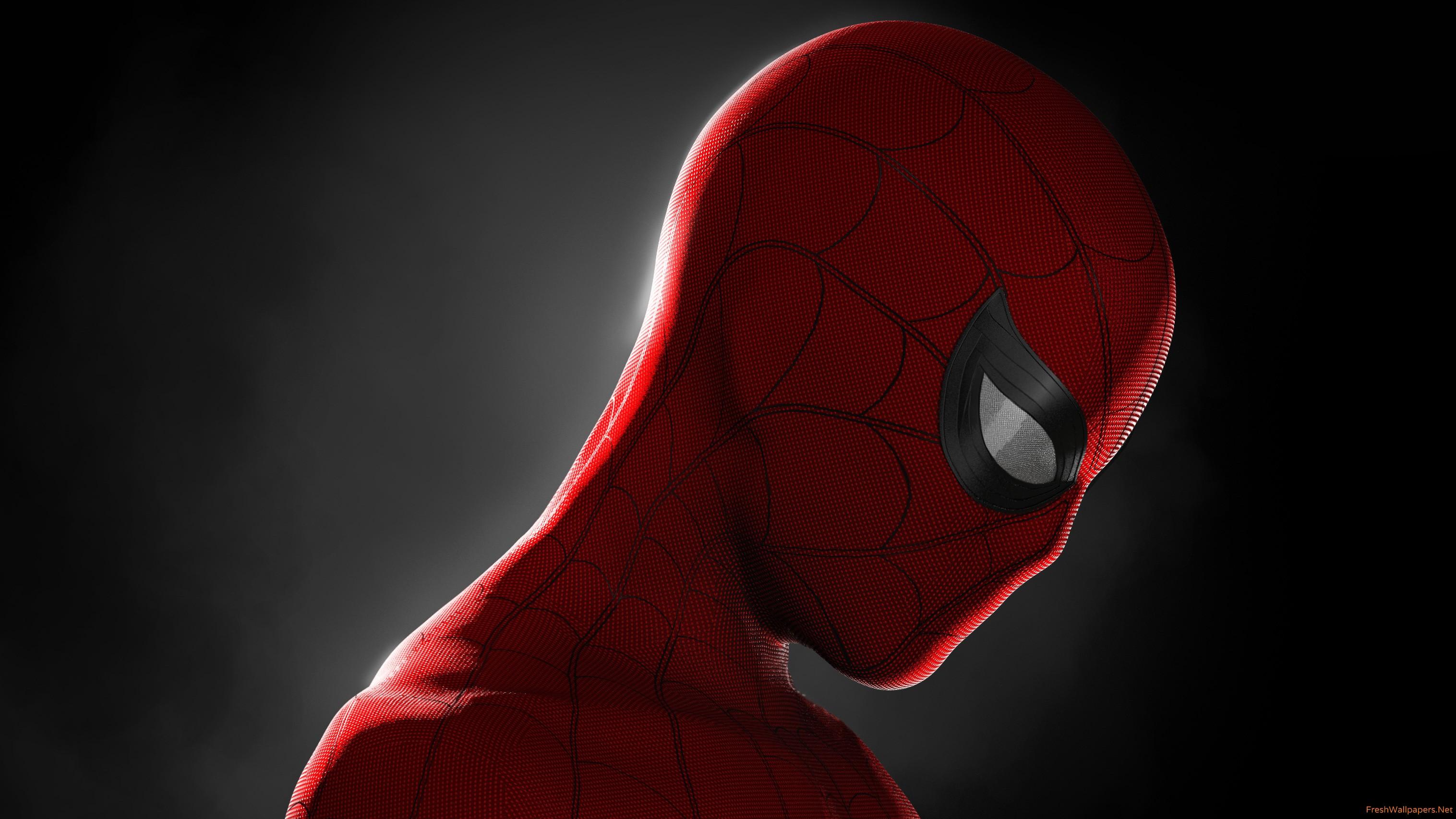 Spiderman Closeup 4k wallpaper