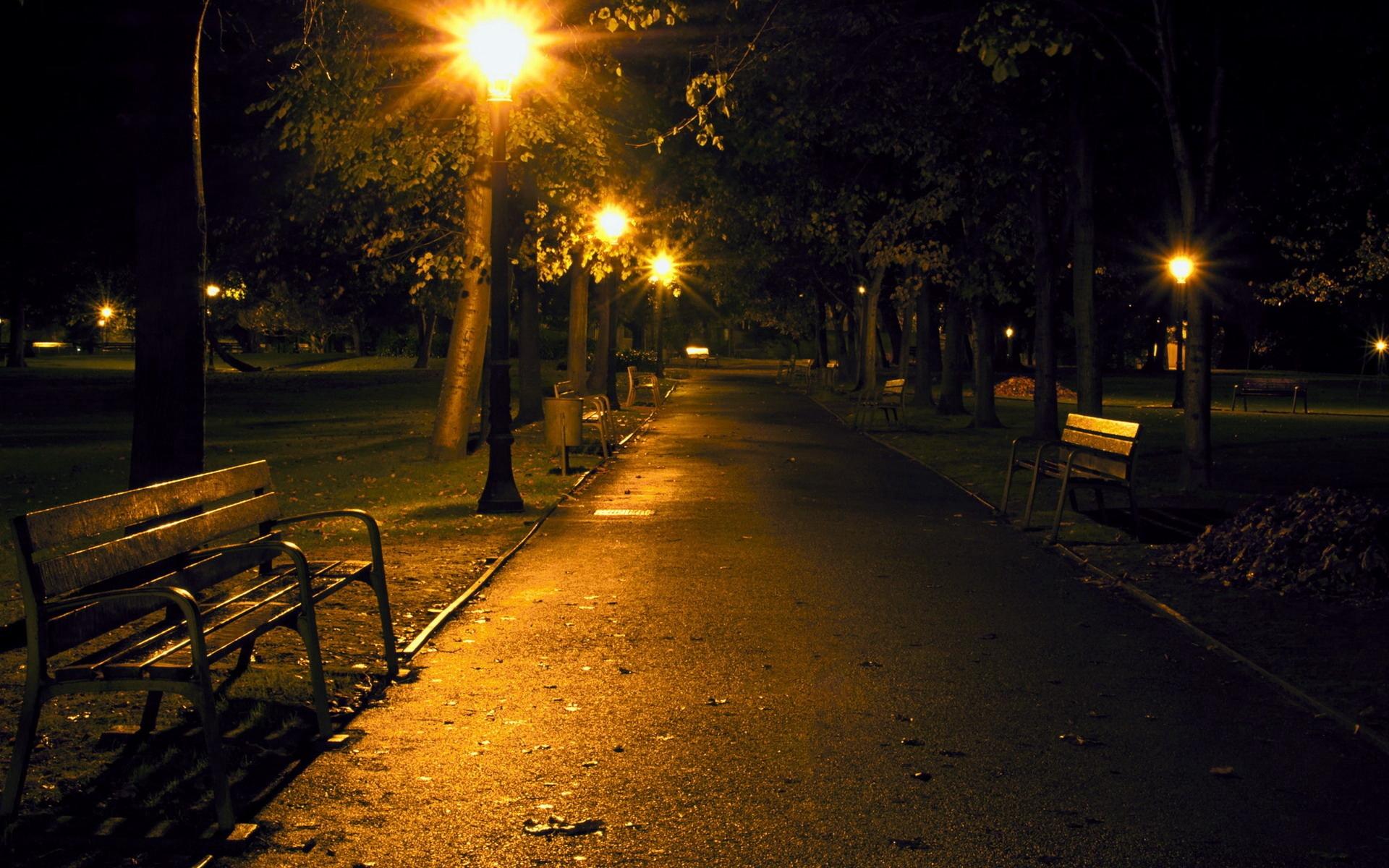 Download wallpaper 1920x1200 city, night, park, benches HD