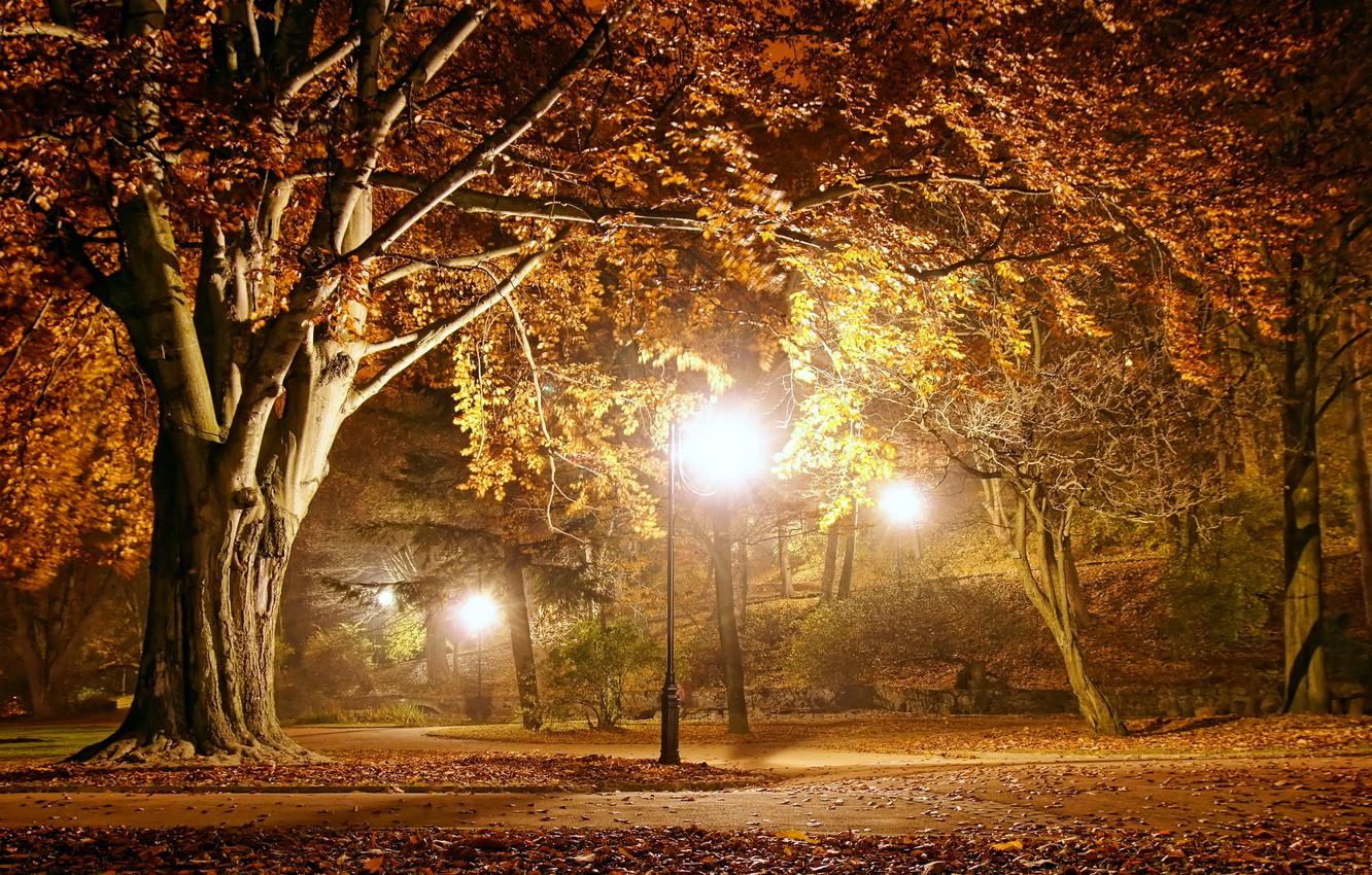 Wallpaper autumn, landscape, lights, Park, the evening, night, park, autumn, fall season image for desktop, section природа