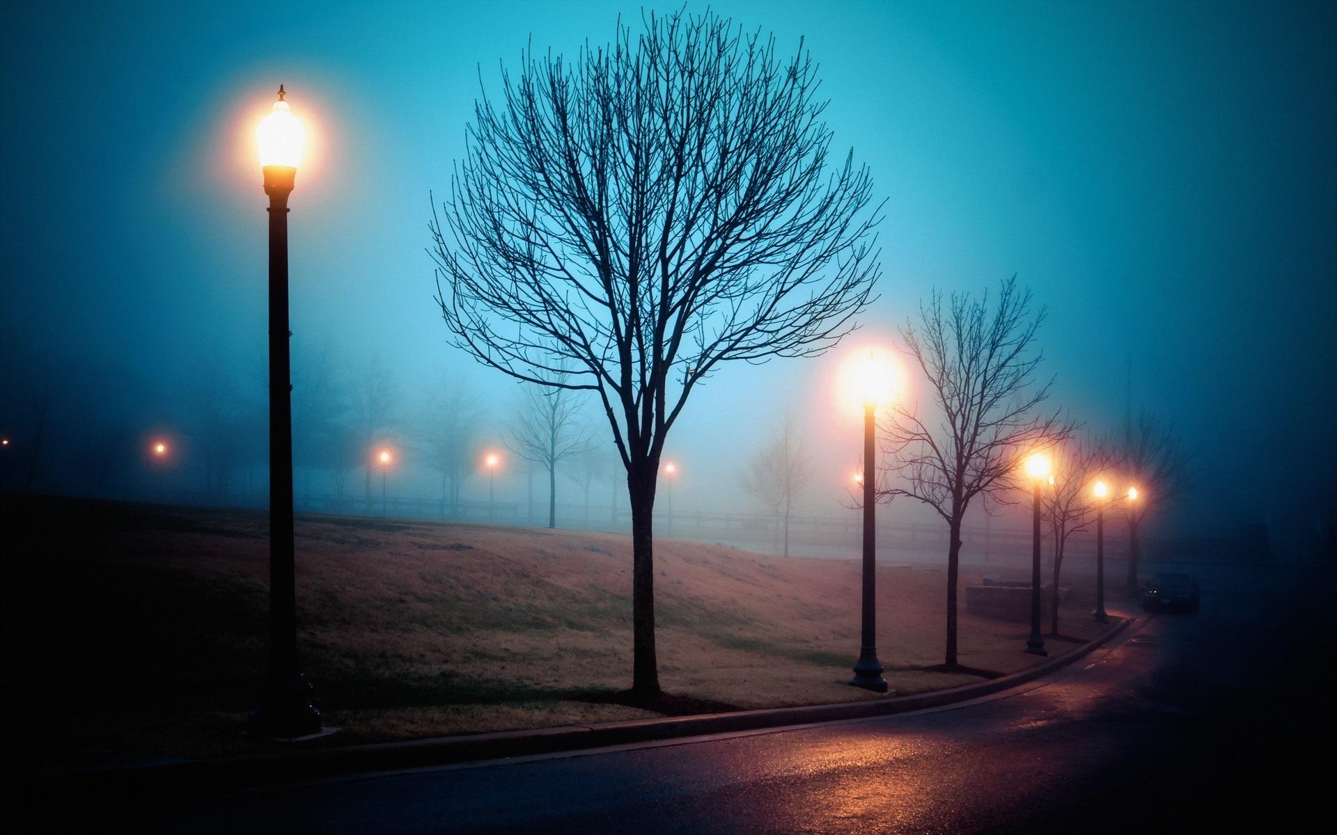 Wallpaper Fog, city, street, park, lights, night 1920x1200