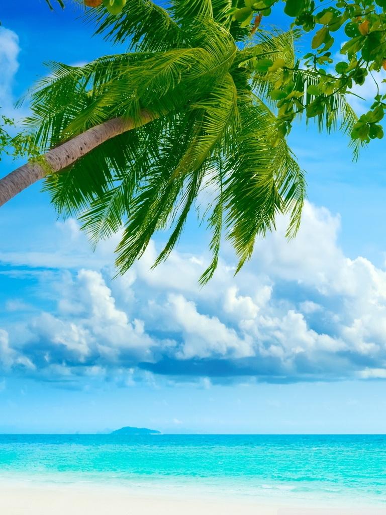Tropical Beach Resorts Ultra HD Desktop Background Wallpaper