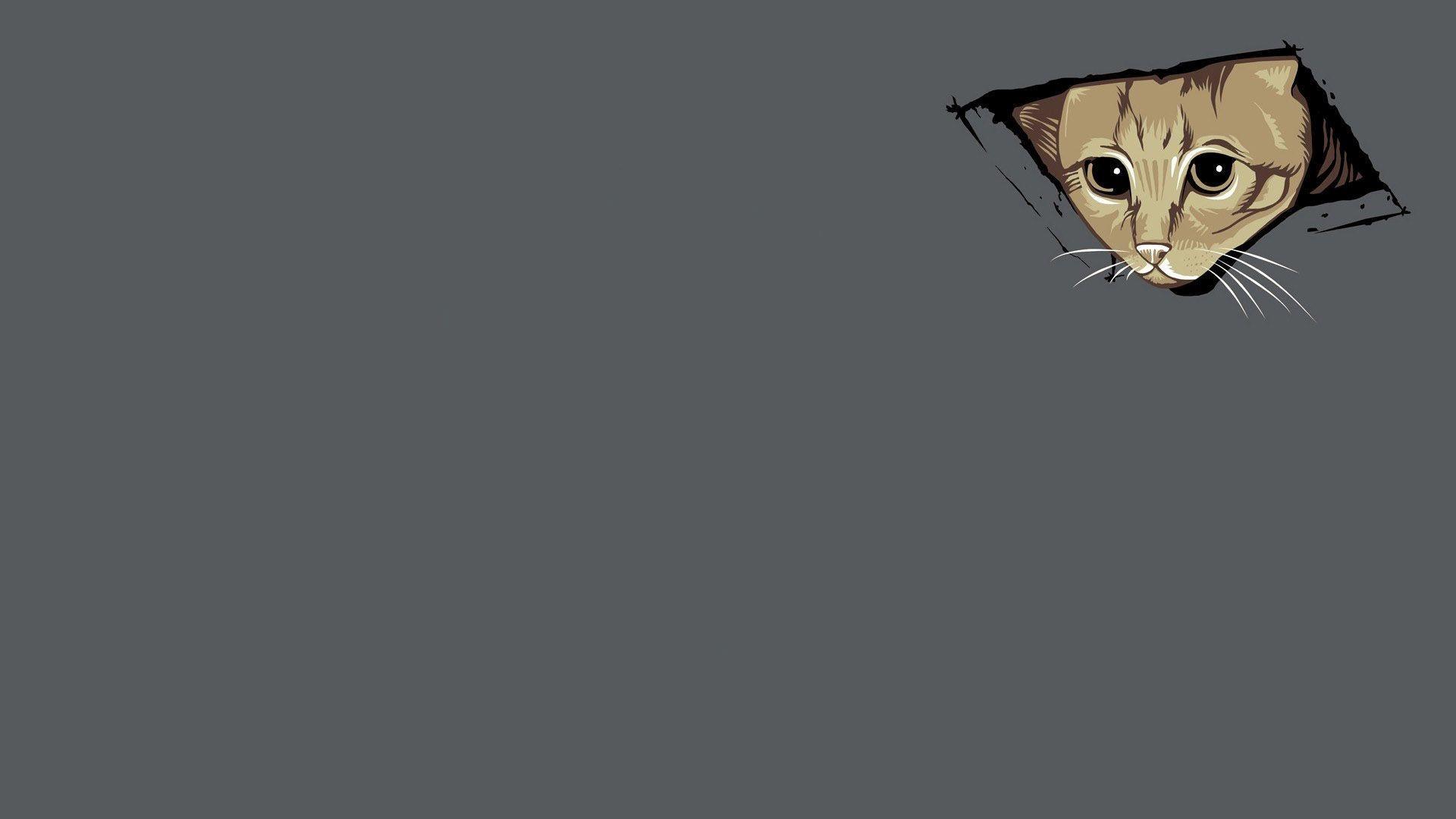 Download Beluga Cat Meme Face Wallpaper