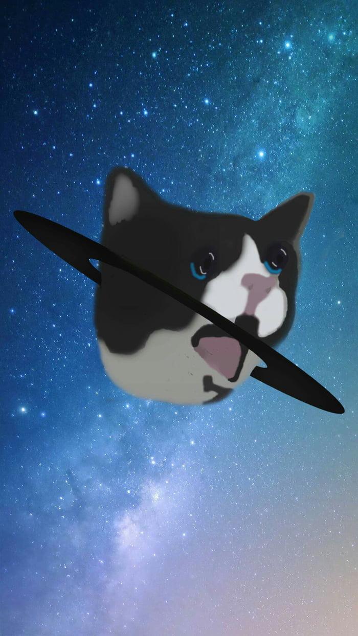 space cat crying