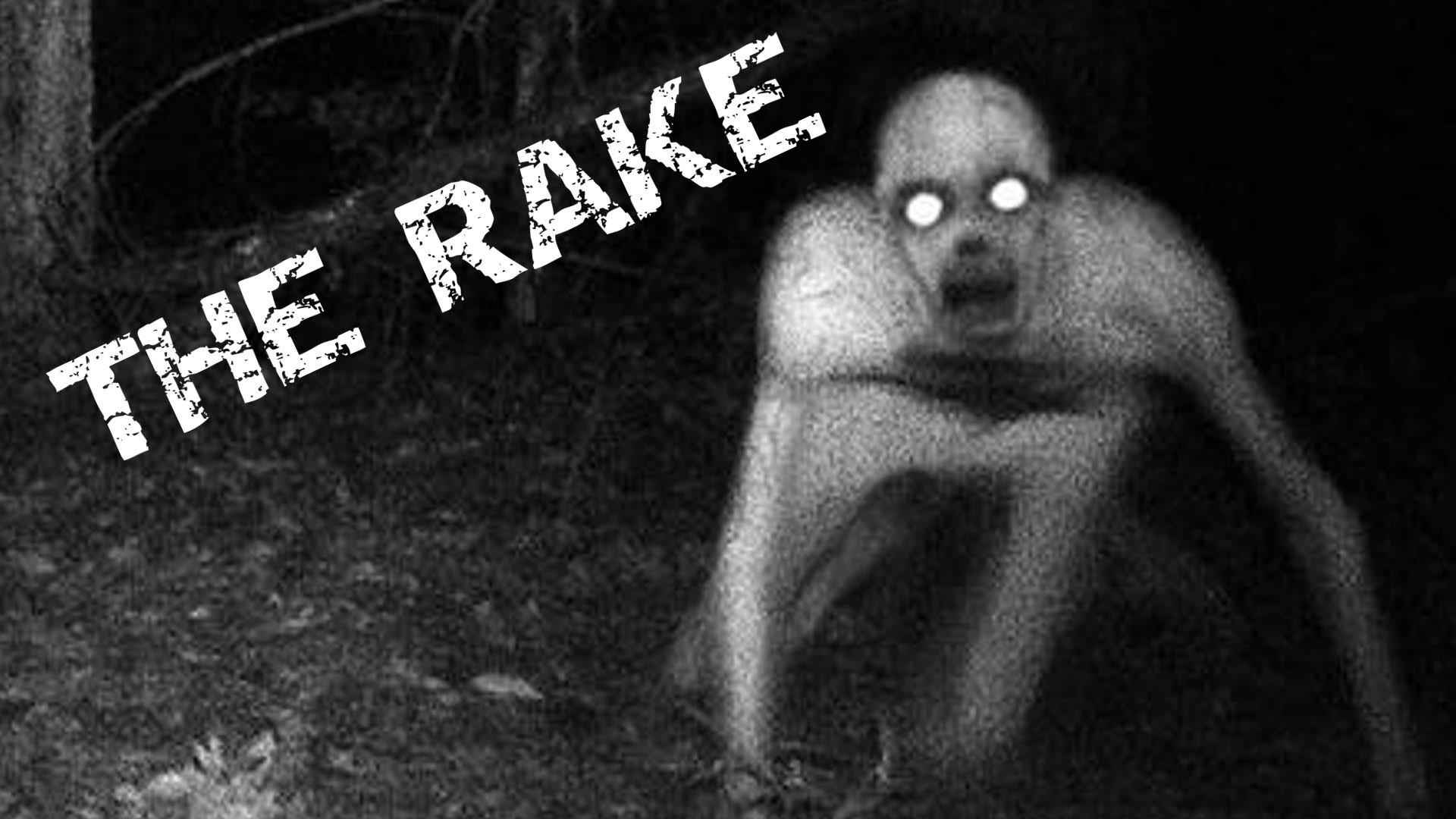 The Rake Drawings