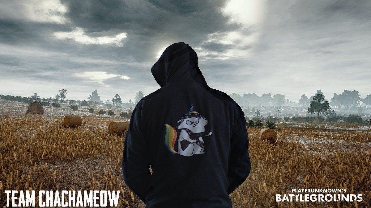 Pubg Characters 4k Wallpaper HD Pubg Wallpaper 4k