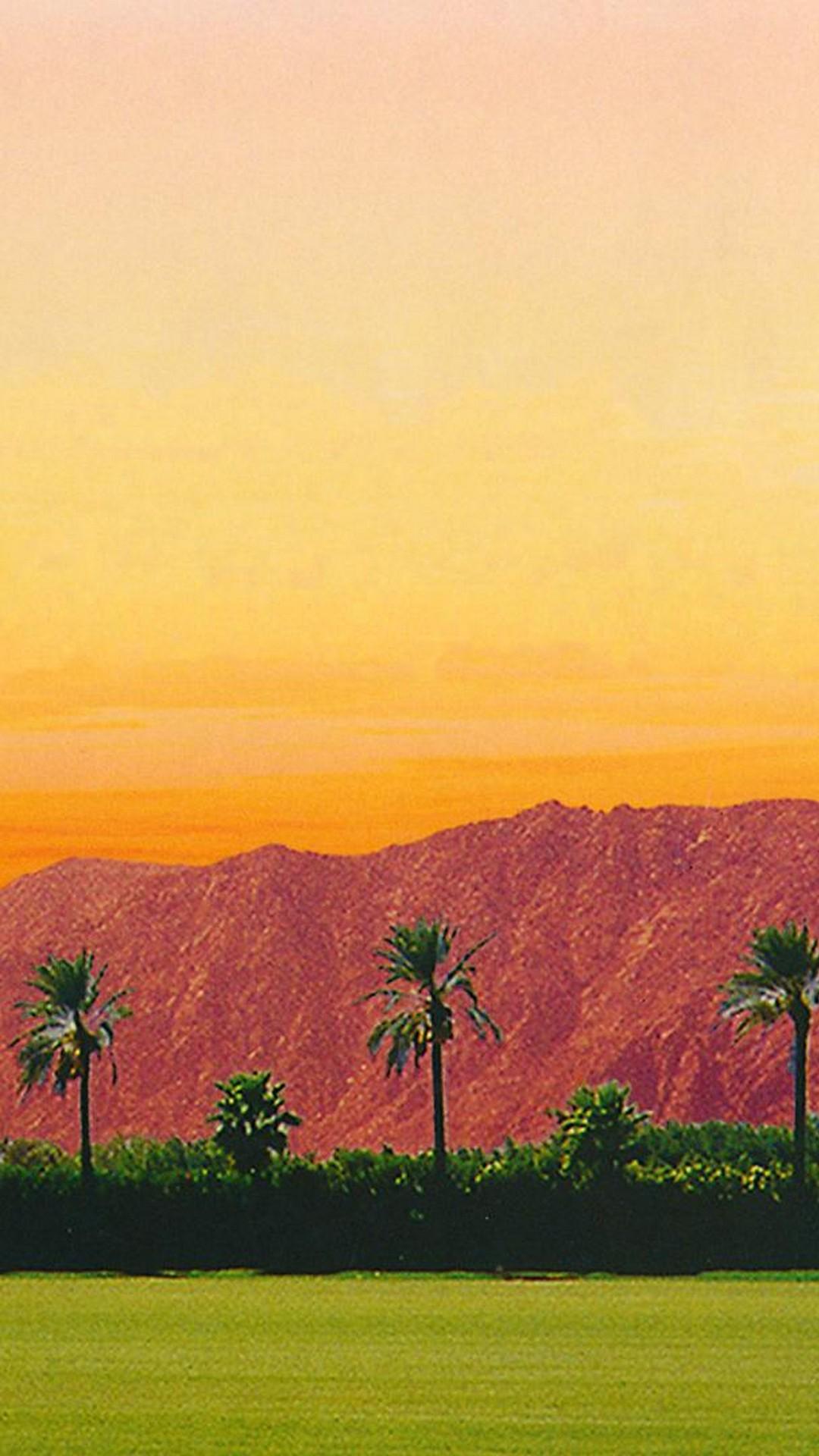 Coachella 2019 Wallpaper For Android Android Wallpaper