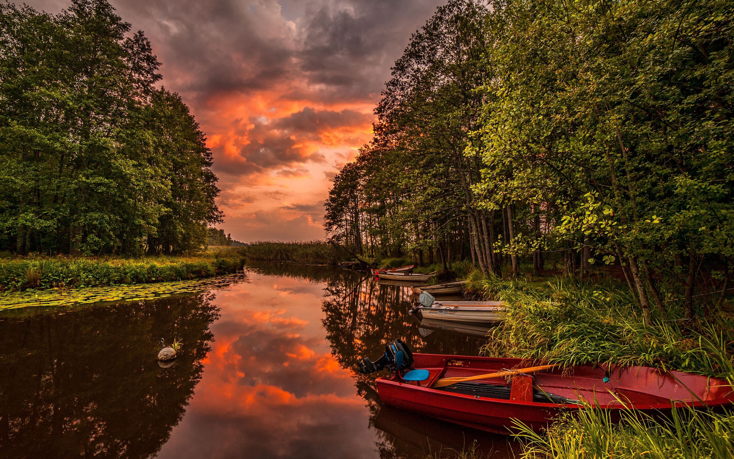 River boats forest sunset landscape wallpaperx1600