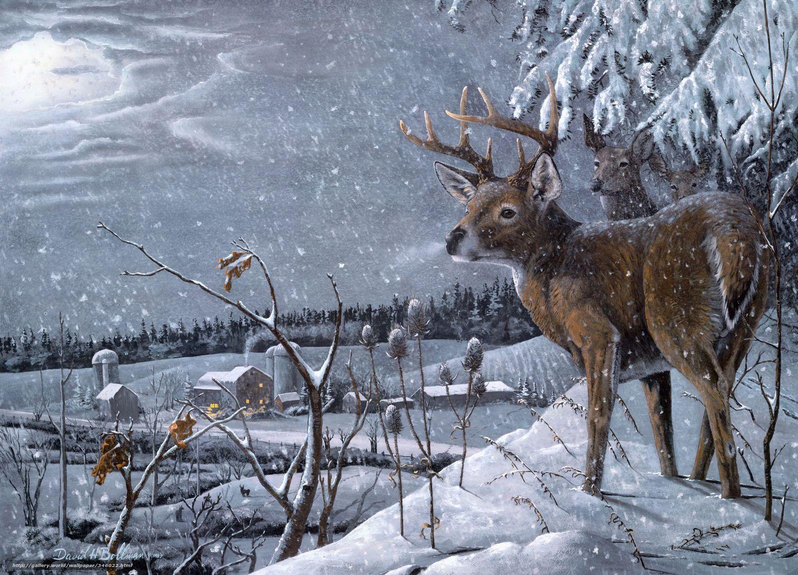 Free Wallpaper Deer in Snow