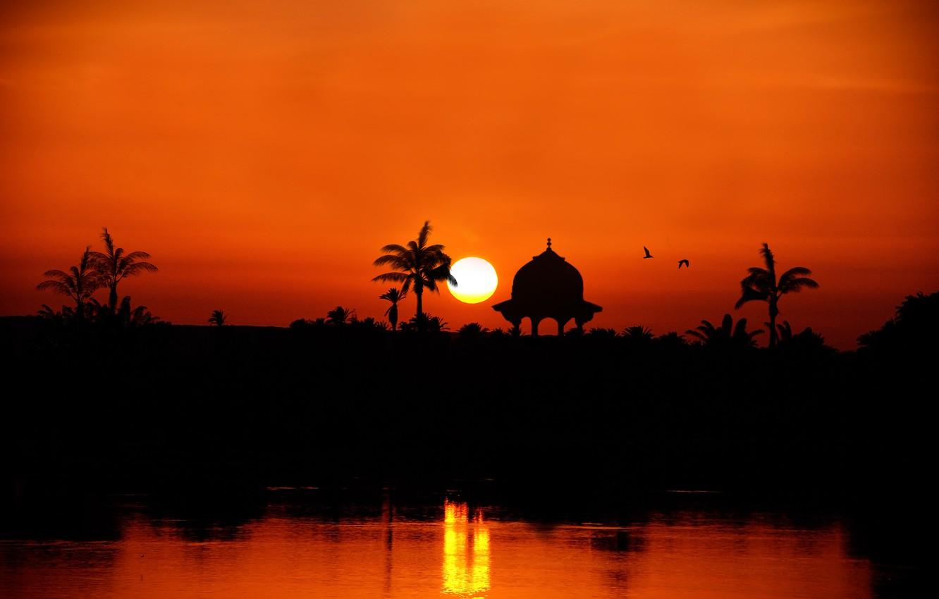Wallpaper sunset, river, palm trees, silhouette, Egypt, the Nile River towards Assuan image for desktop, section пейзажи