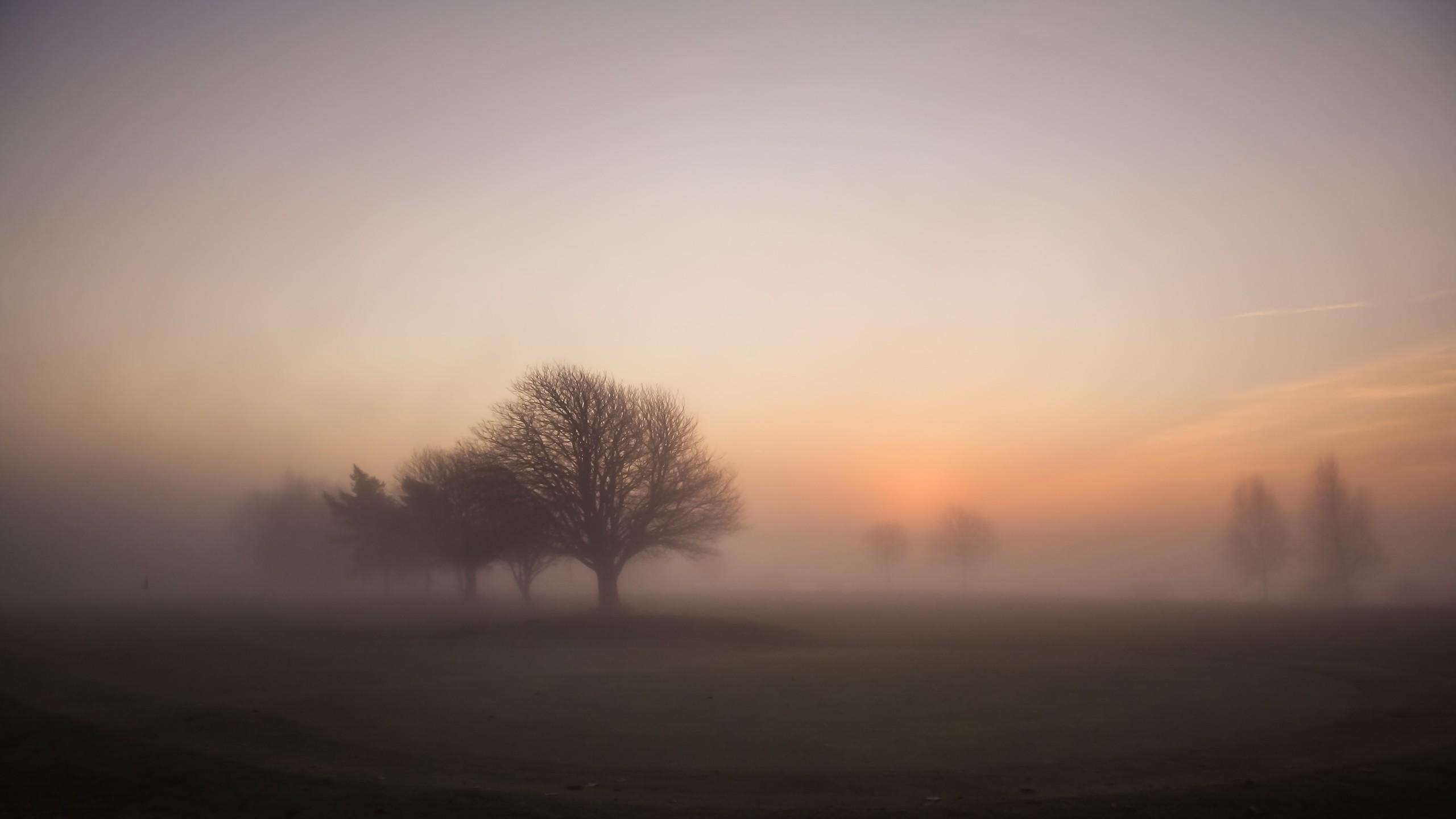 sunrise, fog, morning, golf course, Foggy wallpaper