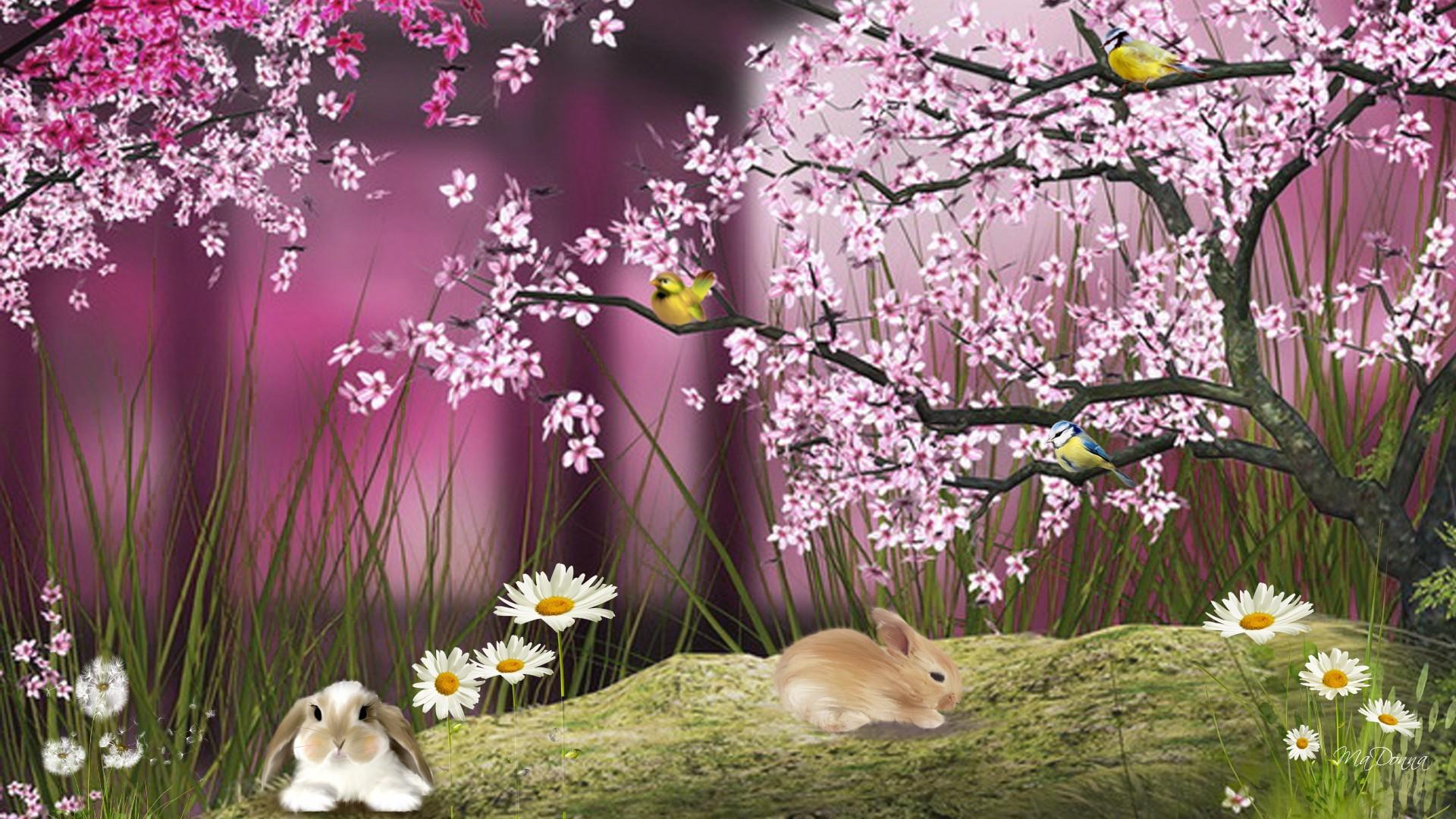 Anime Fairy Cherry Blossom Wallpaper Free Anime Fairy