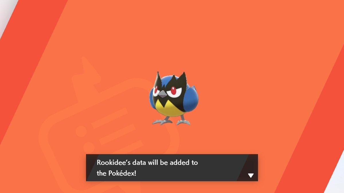 Rookidee  Pokédex