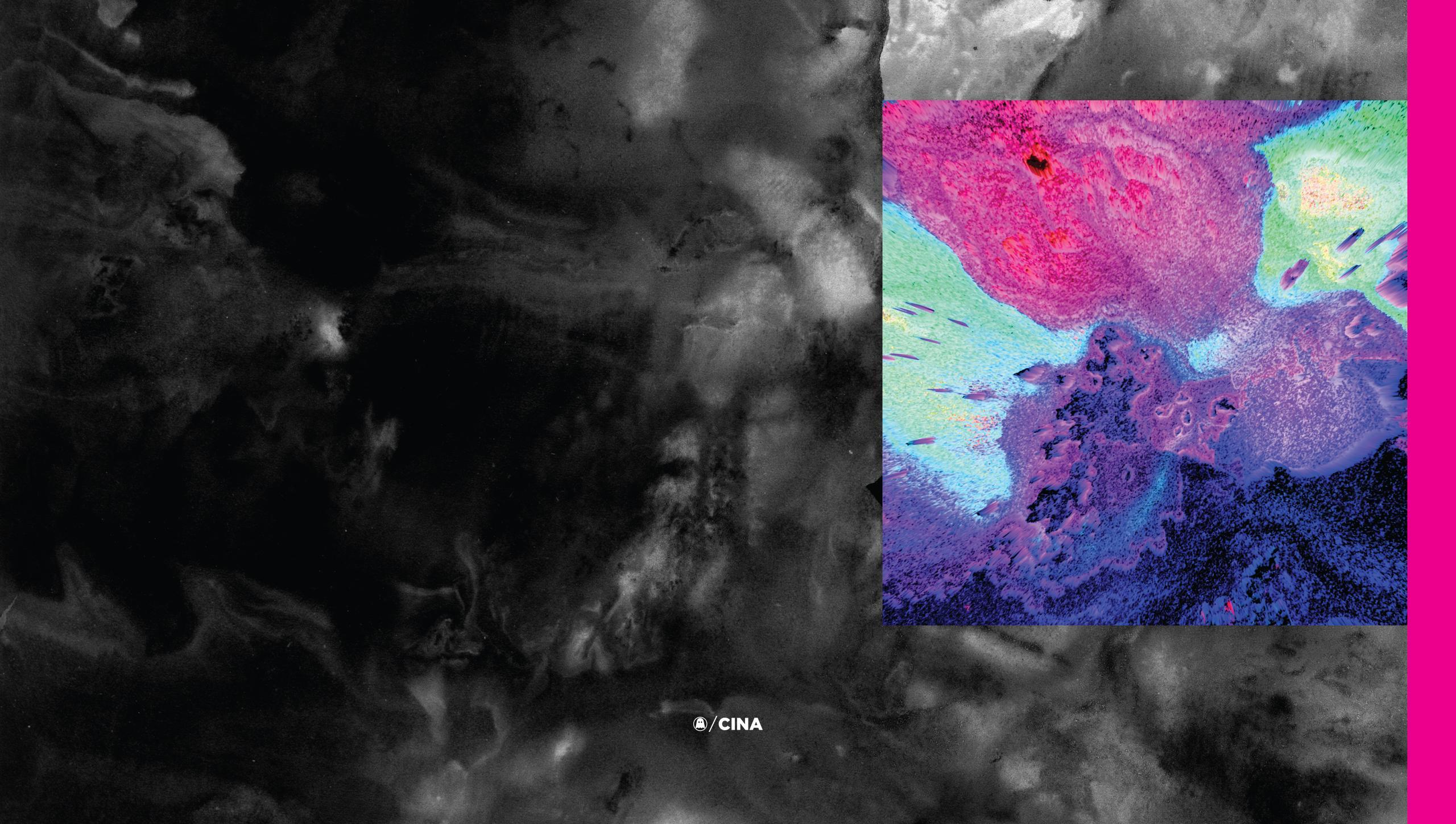 Free download Michael Cina [2560x1449] for your Desktop