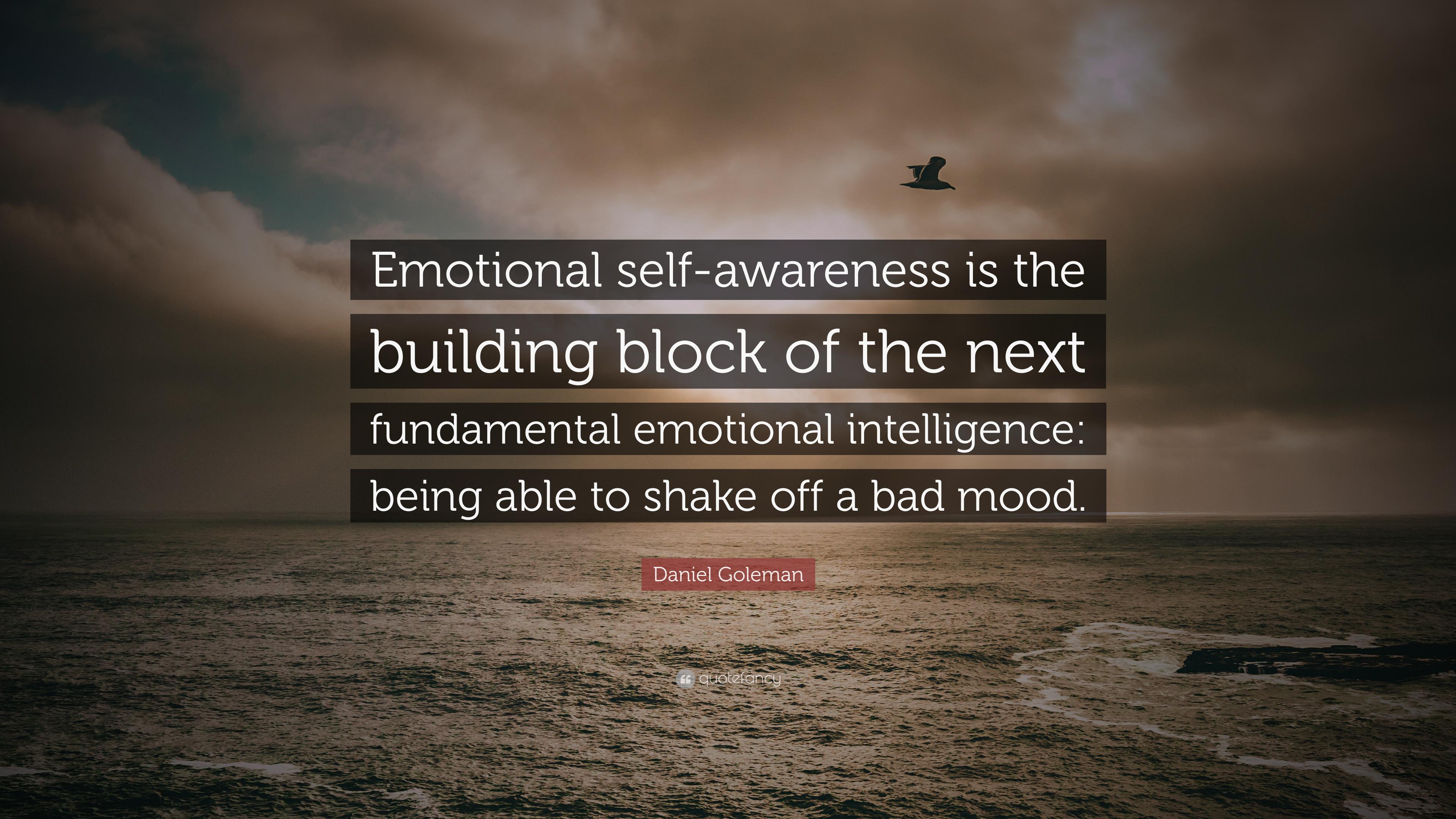 Daniel Goleman Quote: "Emotional self.
