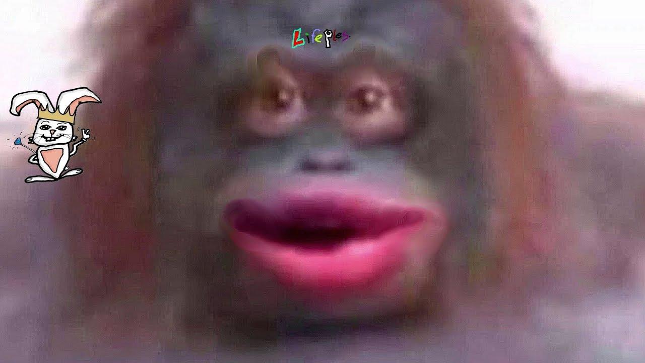 Uh Oh Stinky Gorilla Meme | BlageusFree