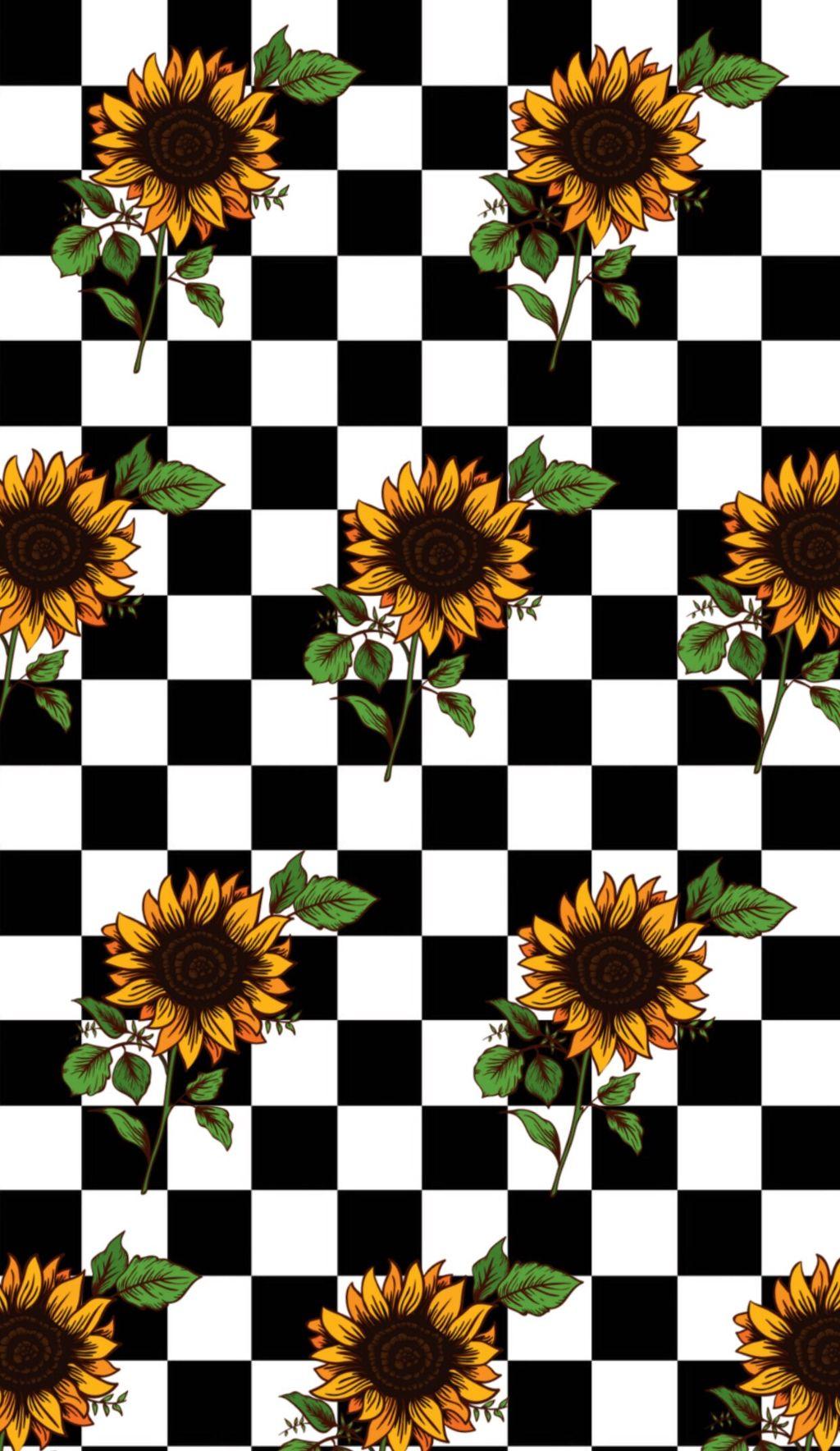 Download Checkered Sunflower Wallpaper