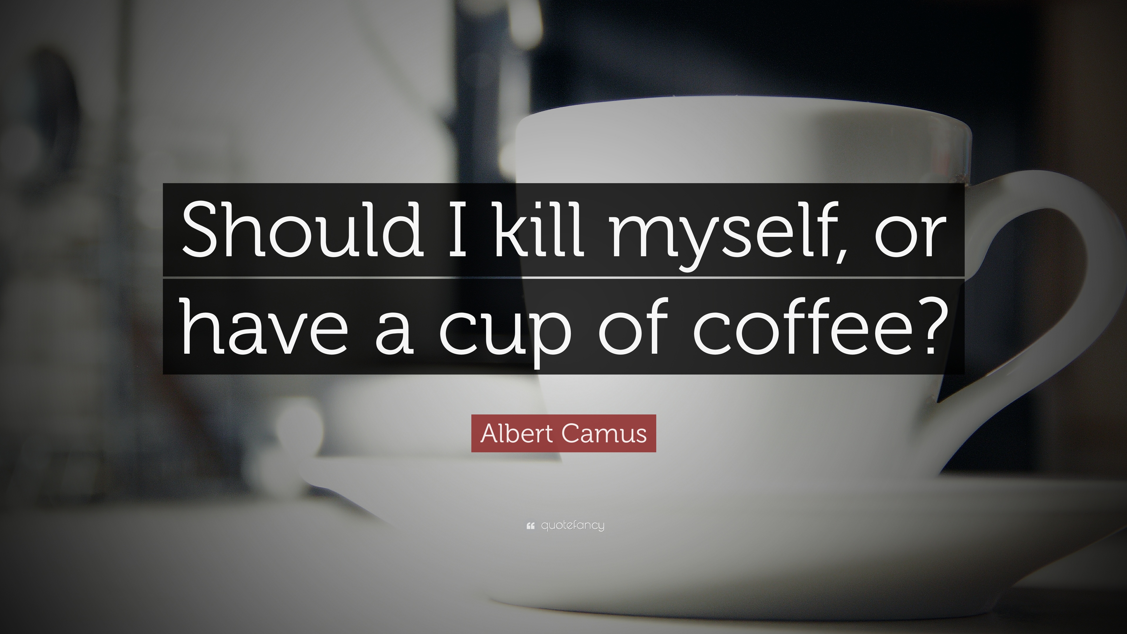 Albert Camus Quotes (500 wallpaper)