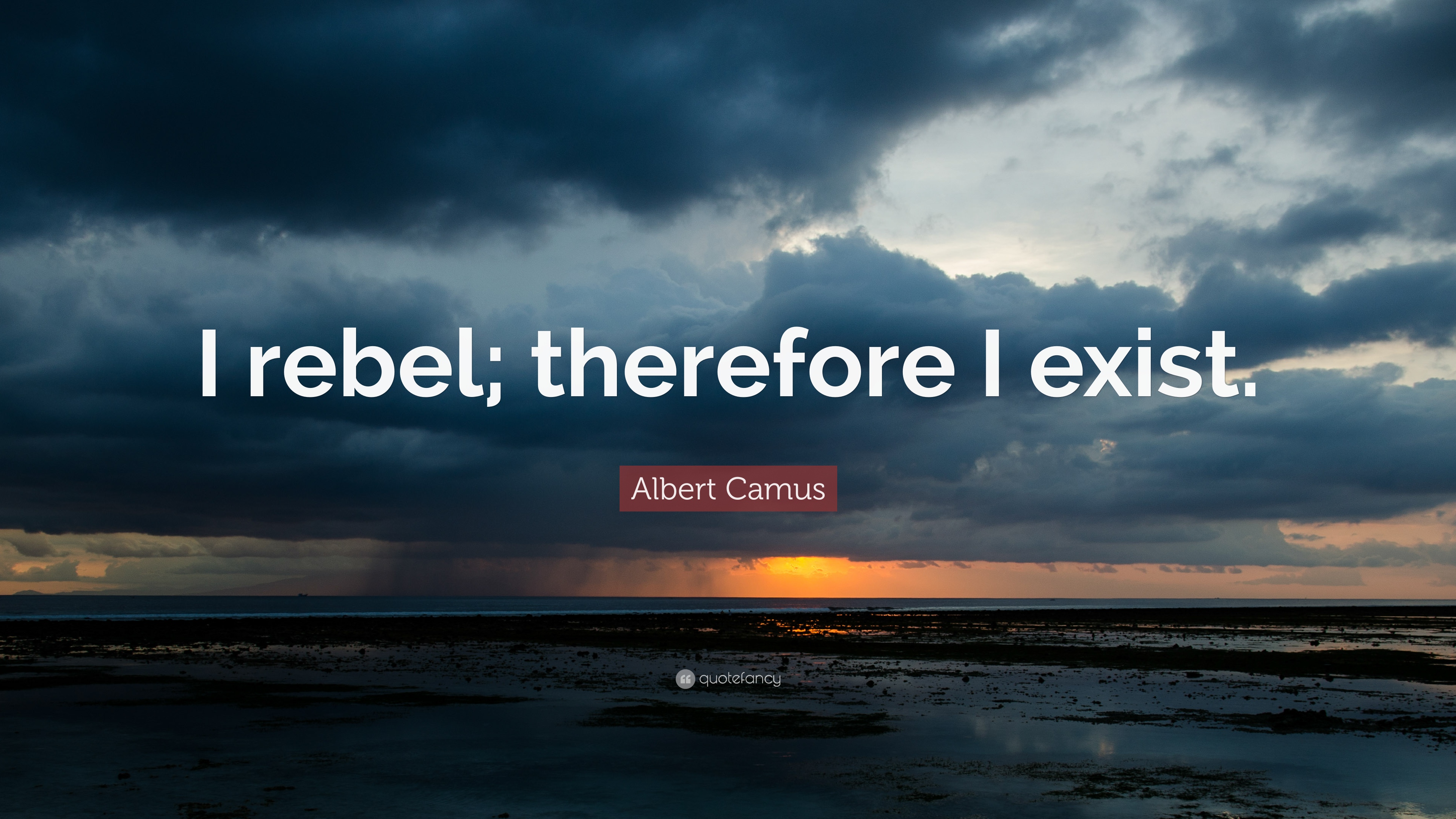 Albert Camus Quotes (500 wallpaper)