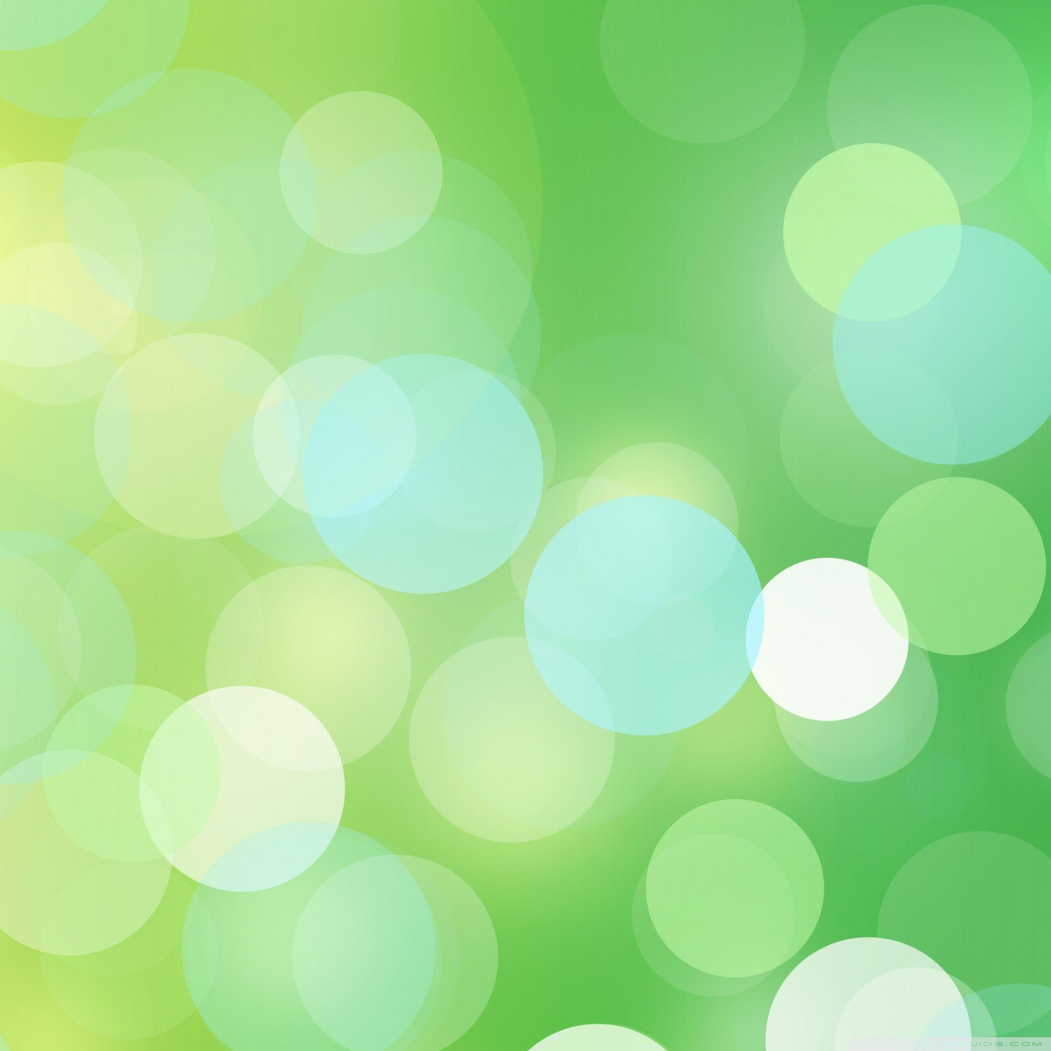 Light Green Background Images, HD Pictures and Wallpaper For Free